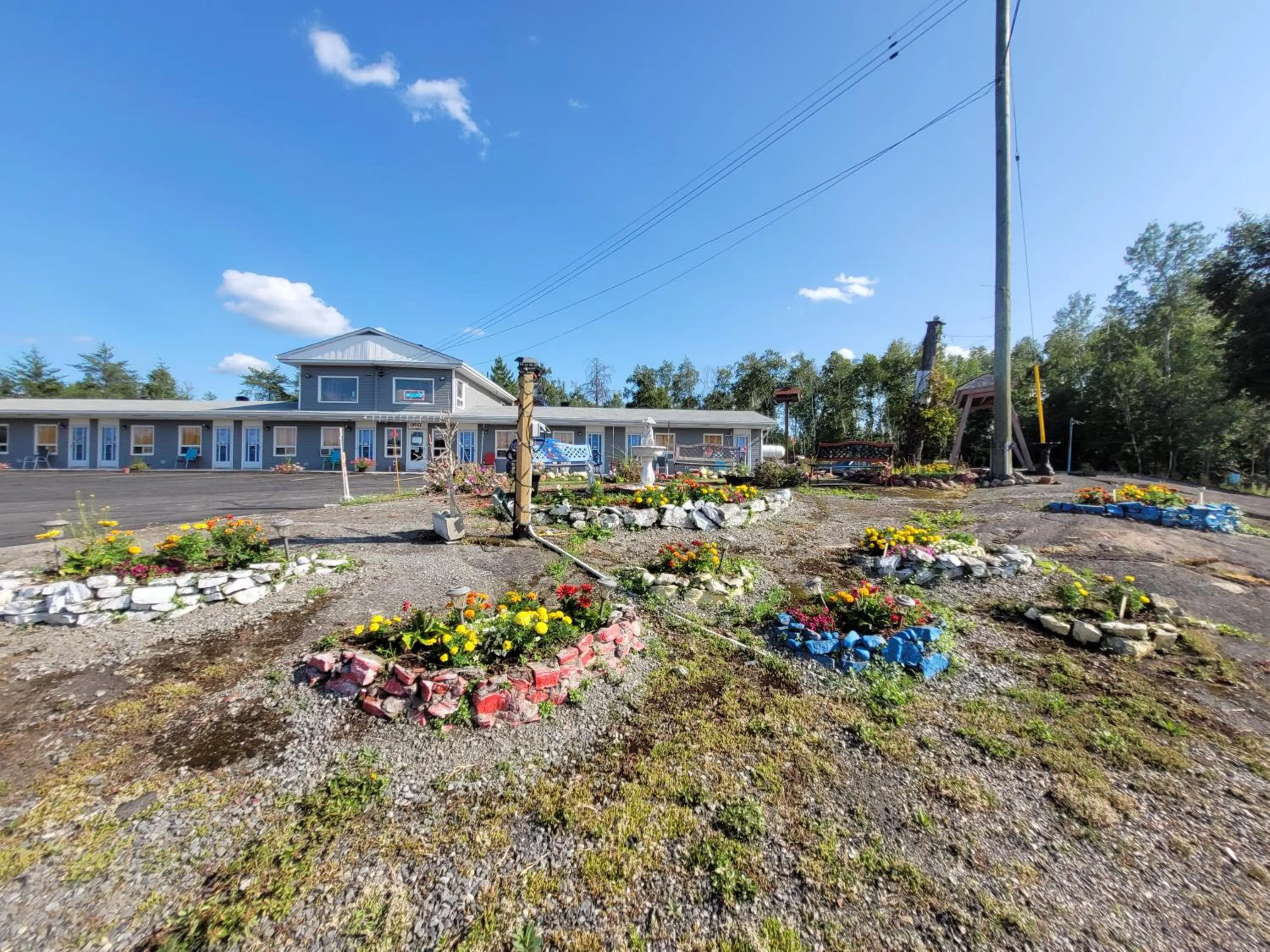 Garden in Norvic Motel