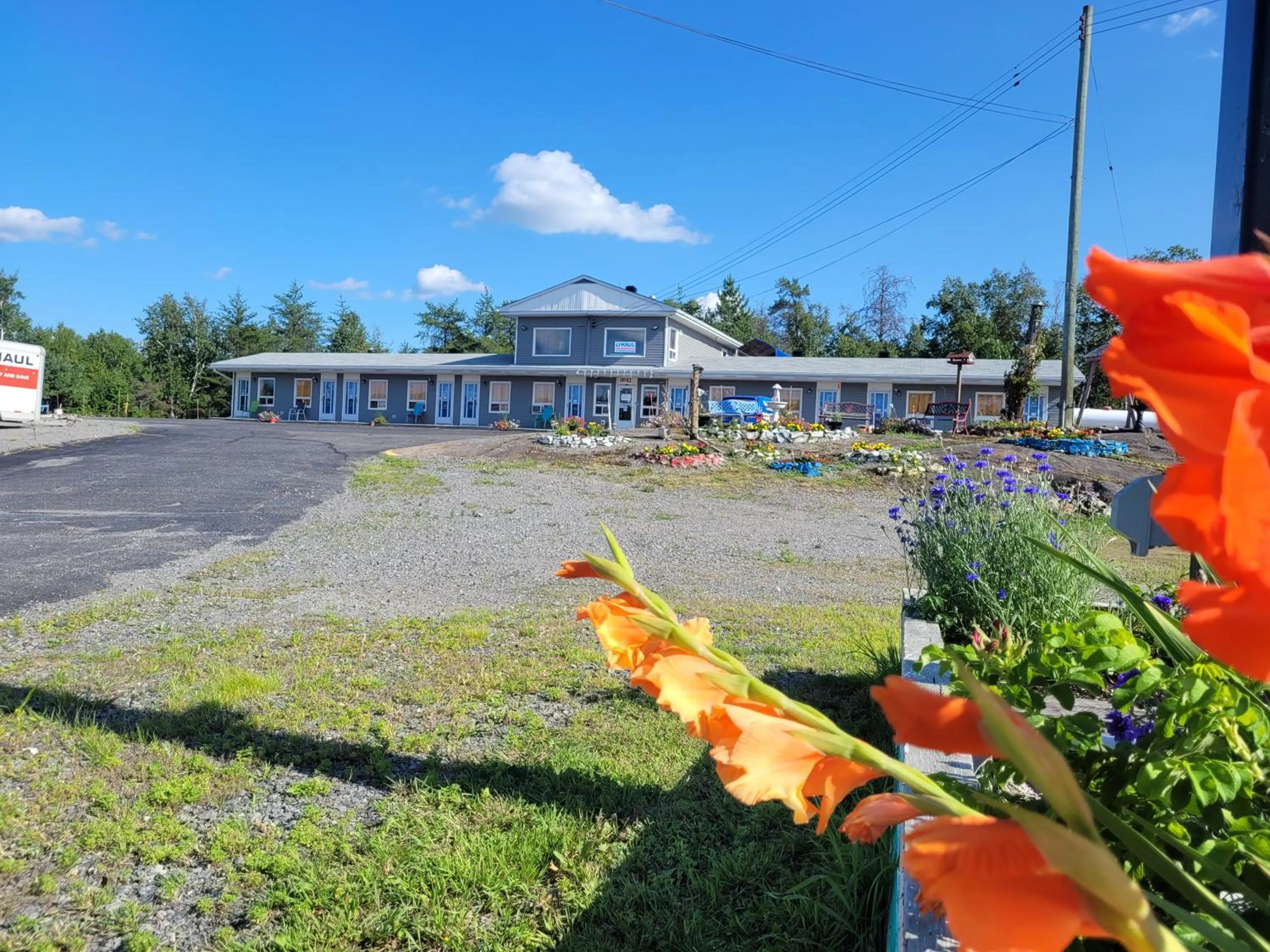 Garden in Norvic Motel