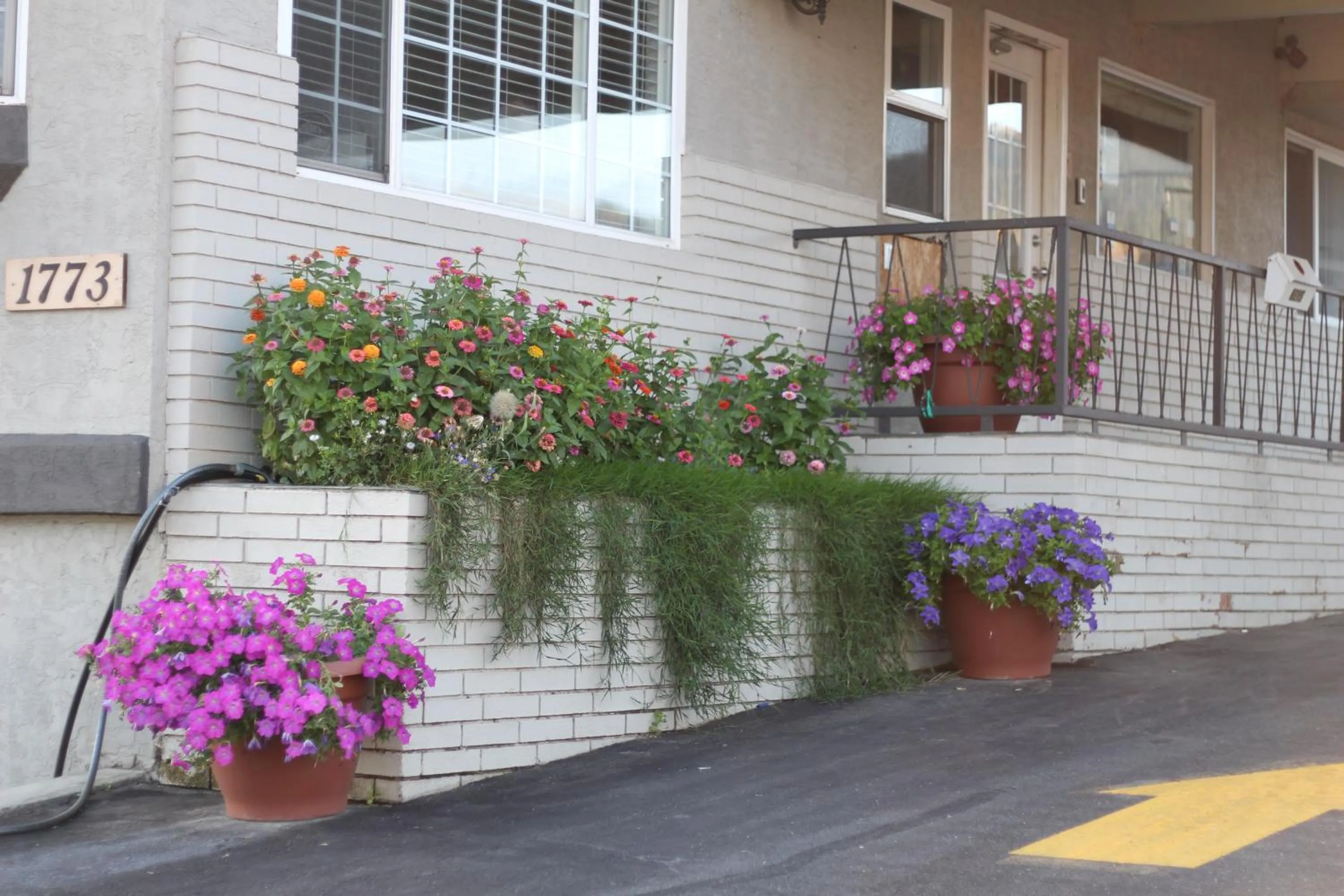 Facade/entrance in Best Budget Inn & Suites Kamloops