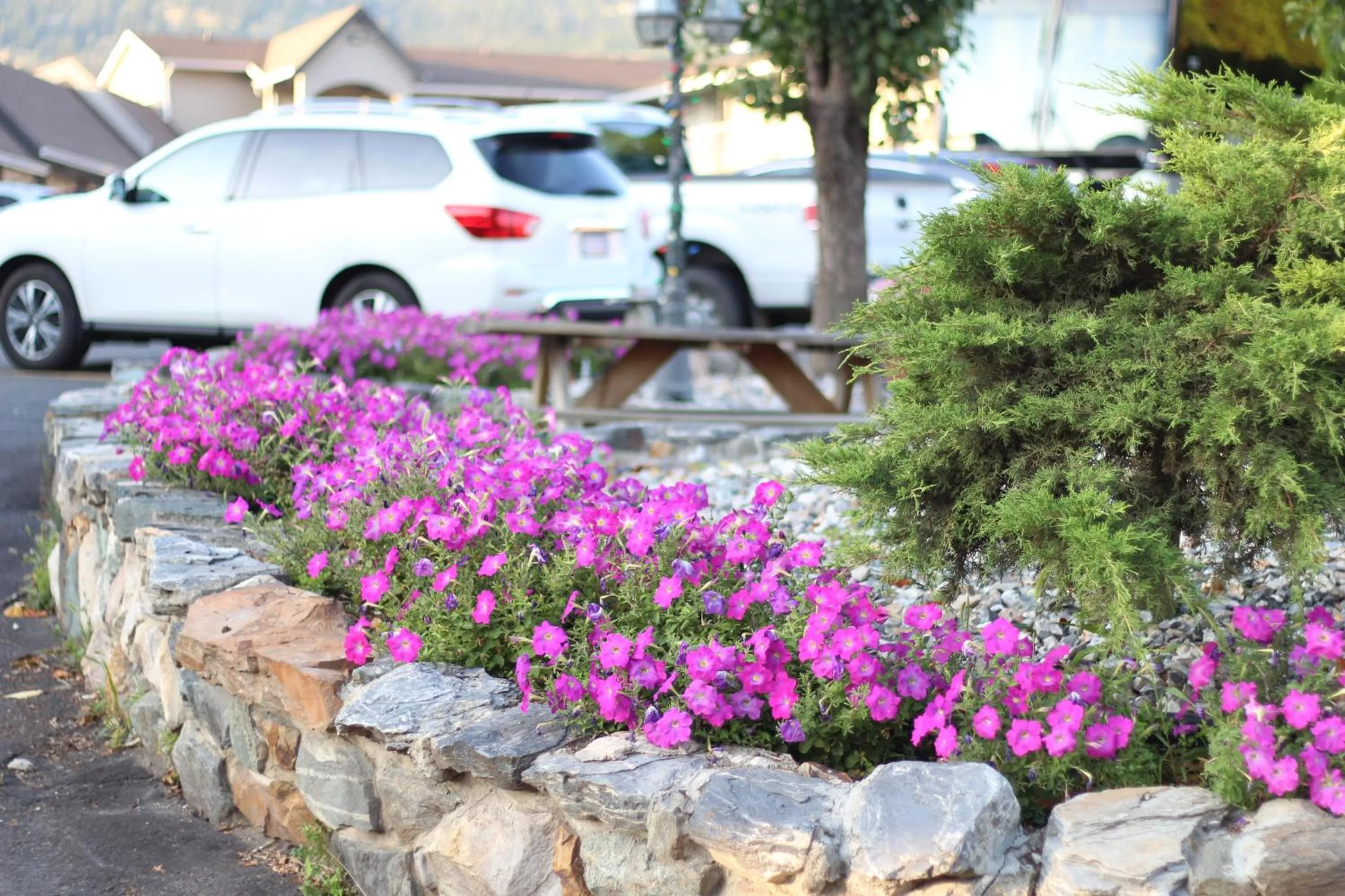 Garden in Best Budget Inn & Suites Kamloops