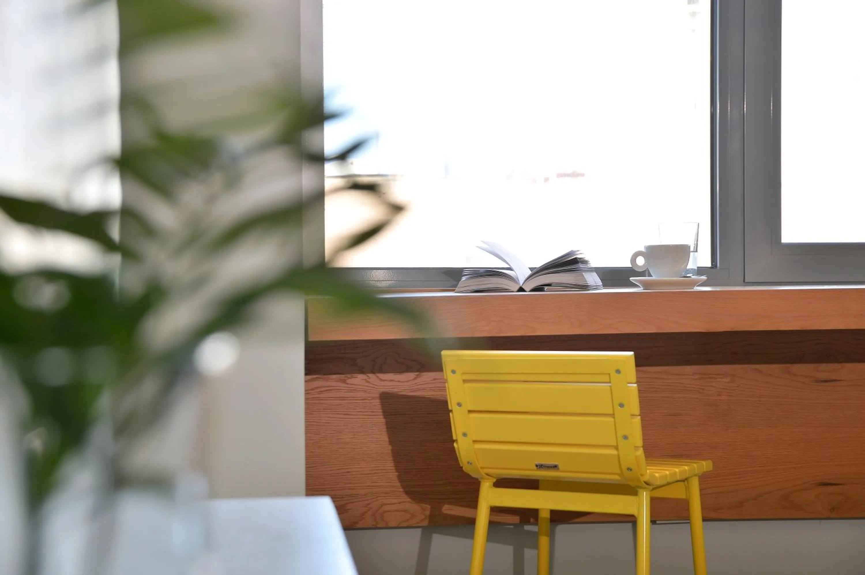 Patio in Athenaeum K 29