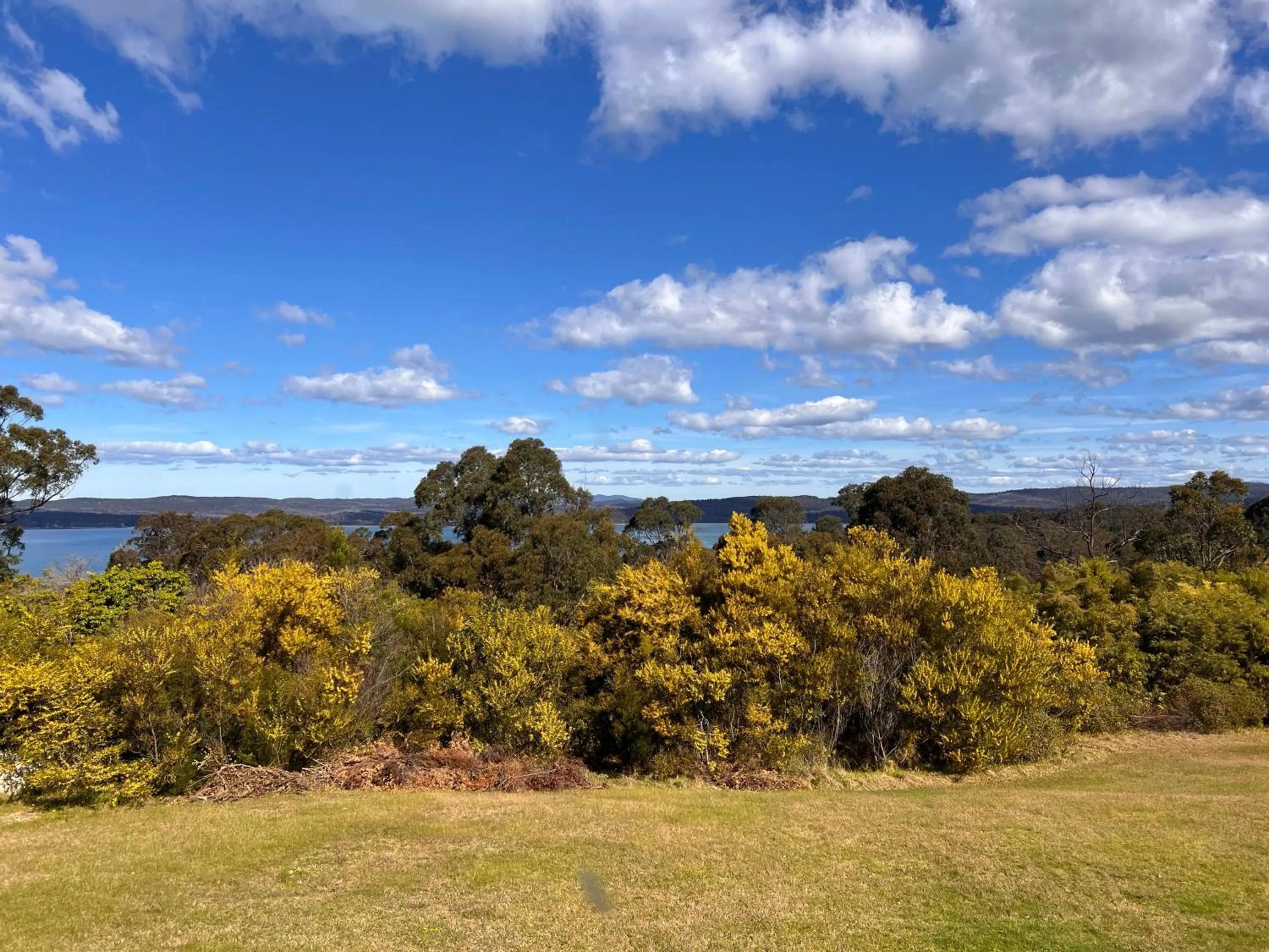 Natural landscape in Bayview Motor Inn