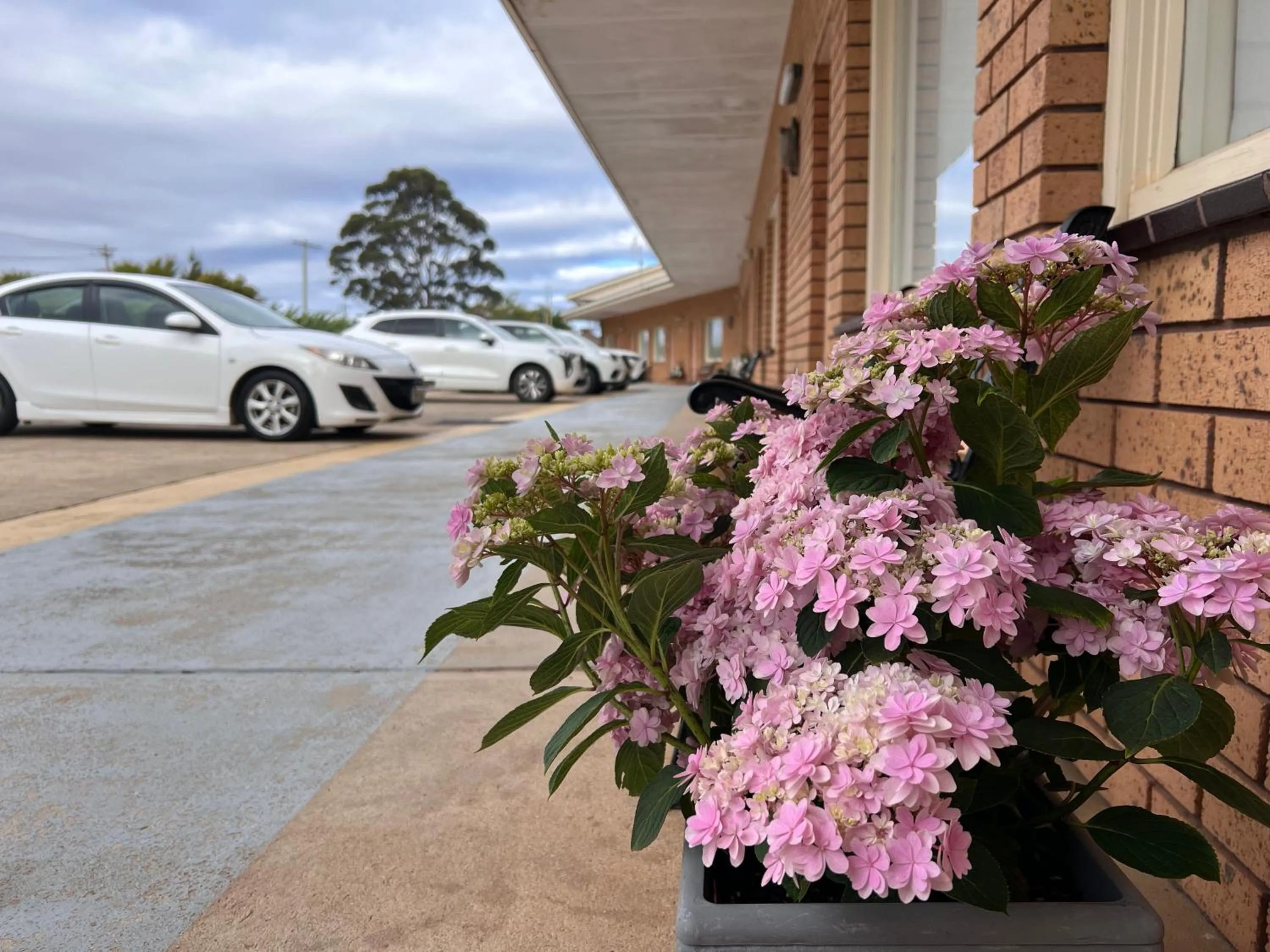 Property building in Bayview Motor Inn