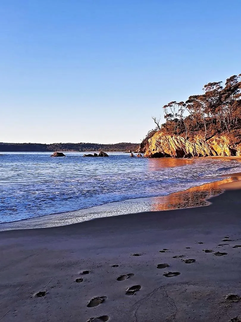 Natural landscape in Eagle Heights Holiday Units