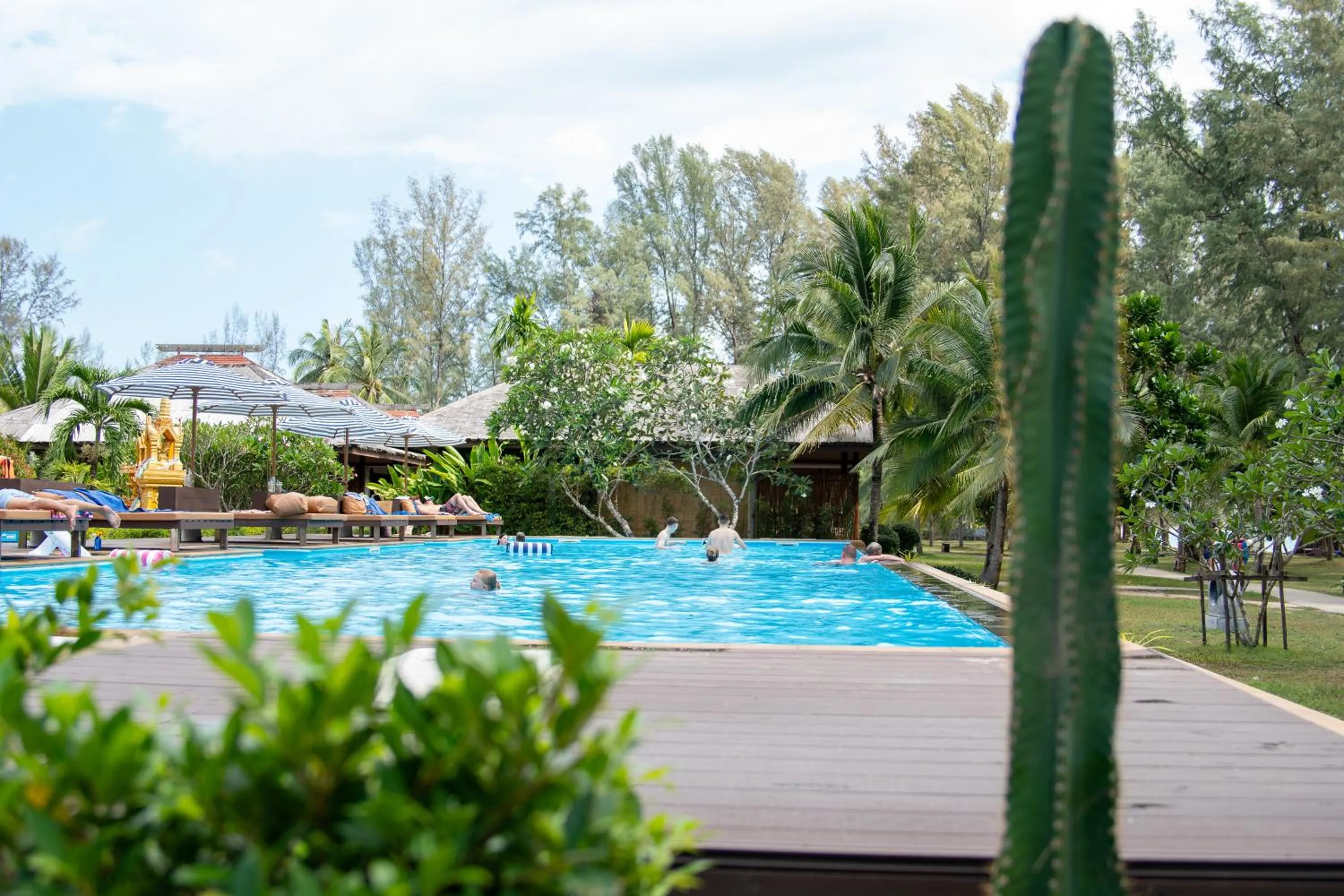 Swimming pool in Long Beach Chalet - SHA Extra Plus