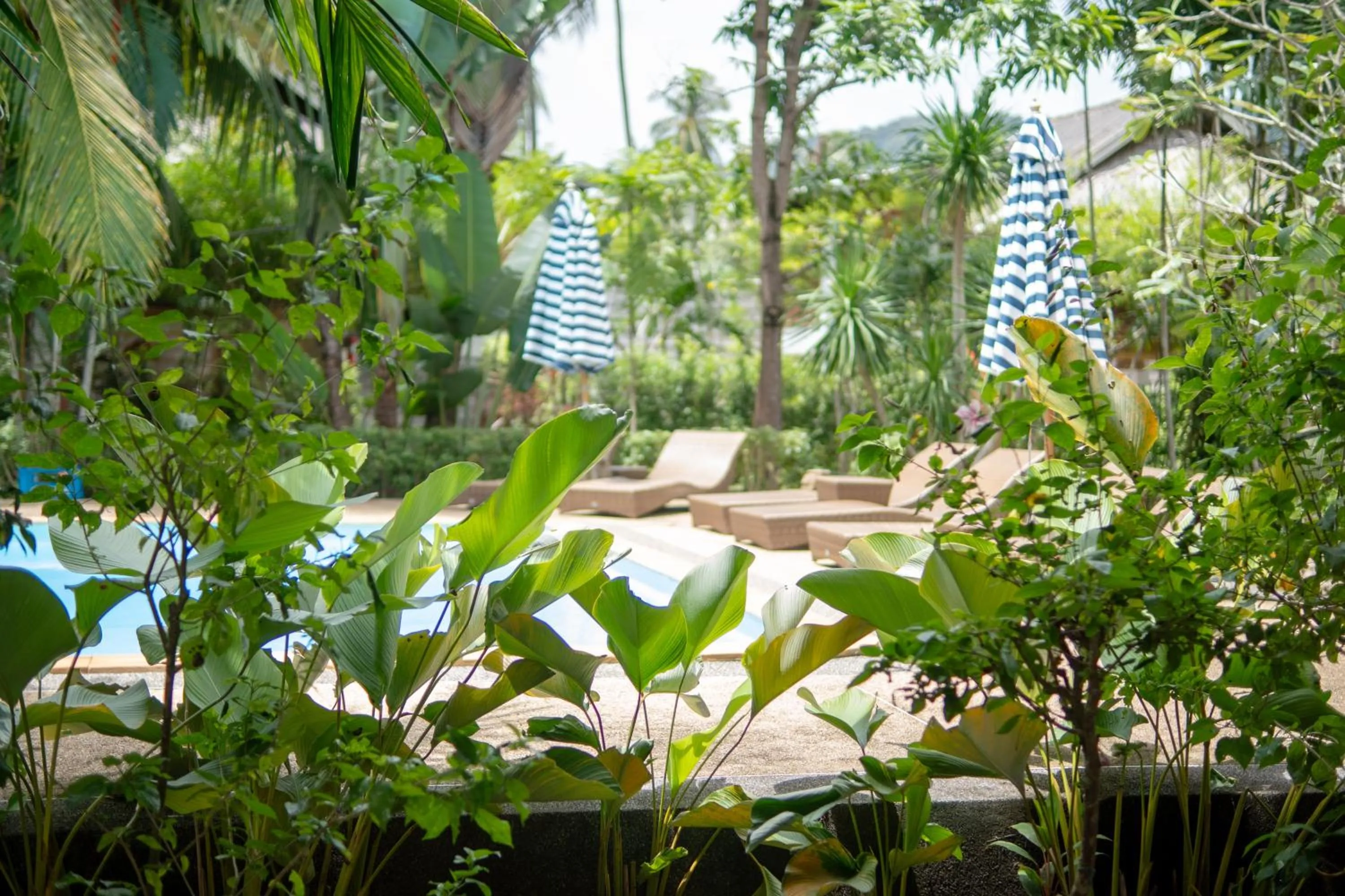 Superior Garden Loft in Long Beach Chalet - SHA Extra Plus