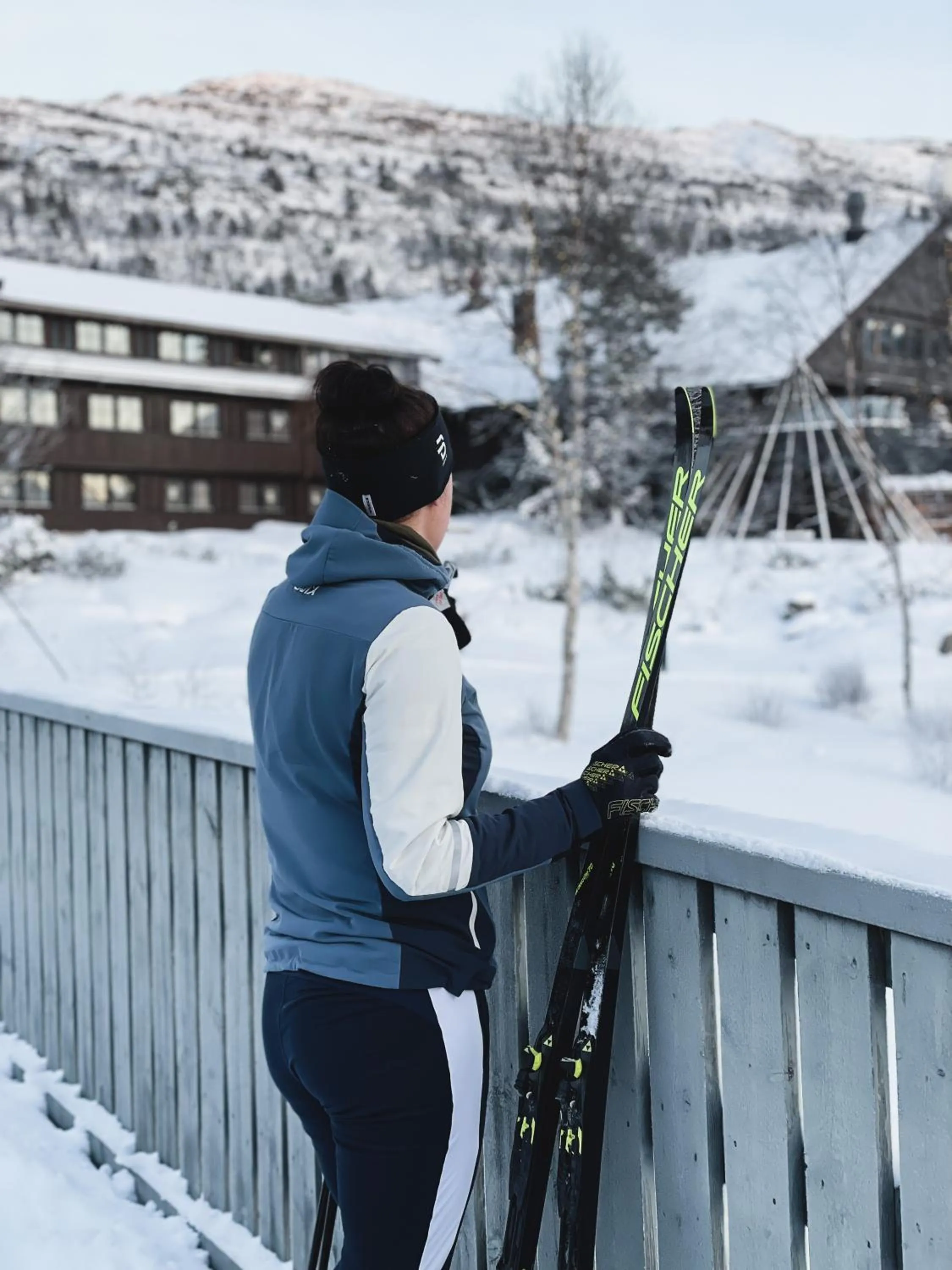 Winter in Hovdestøylen