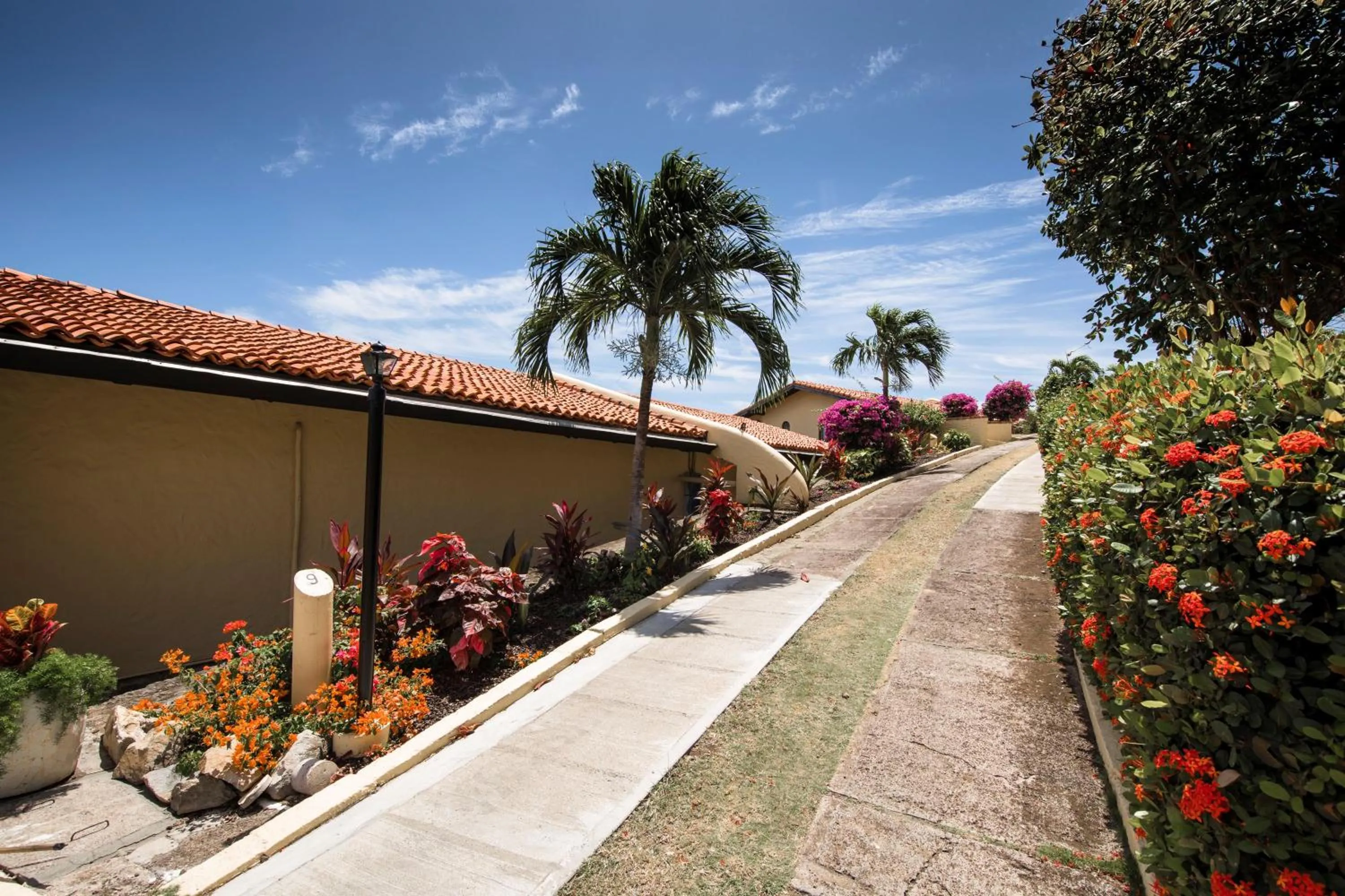 Garden view in Secret Harbour Boutique Hotel and Marina