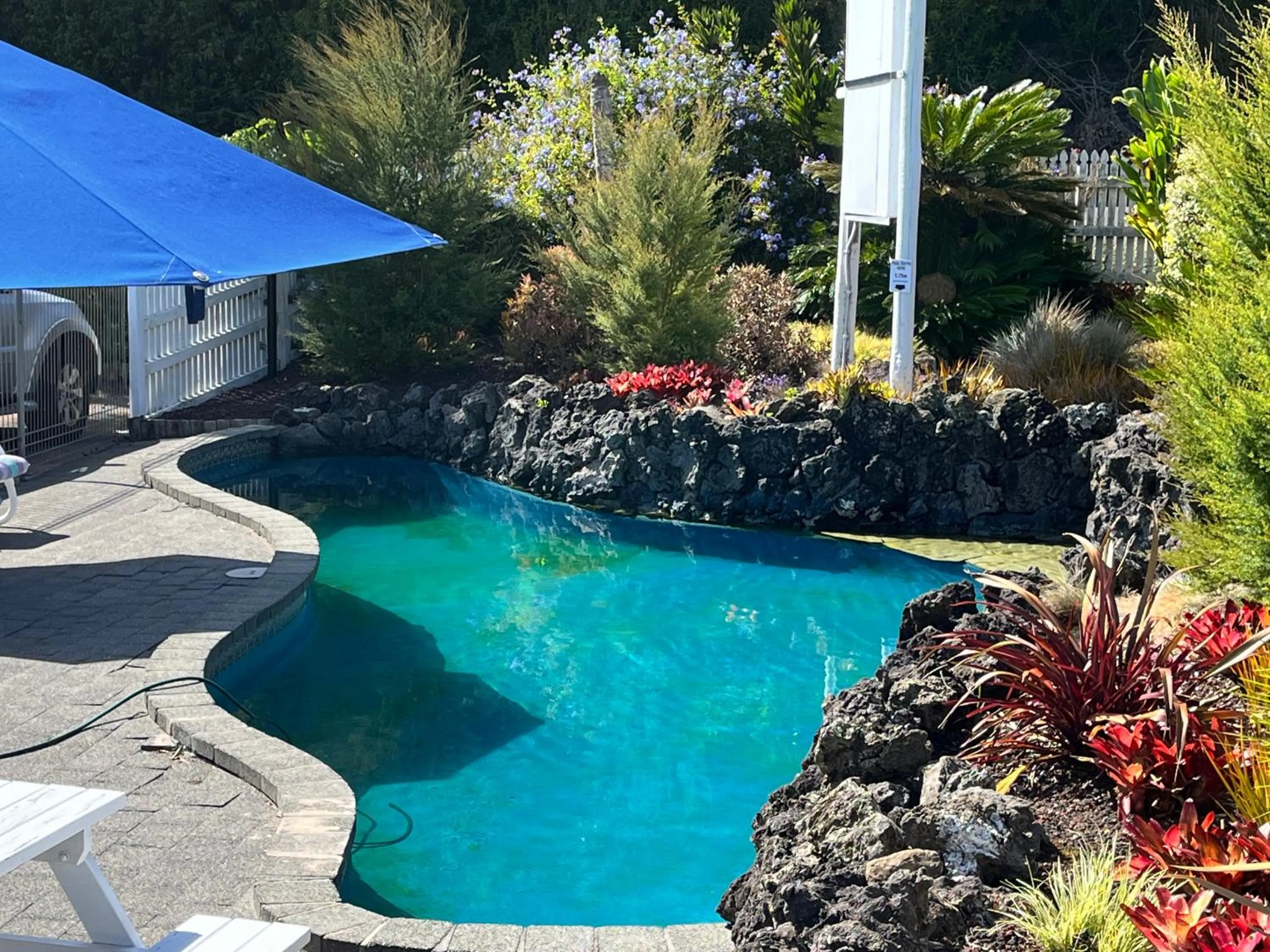 Pool view in Marlin Court Motel