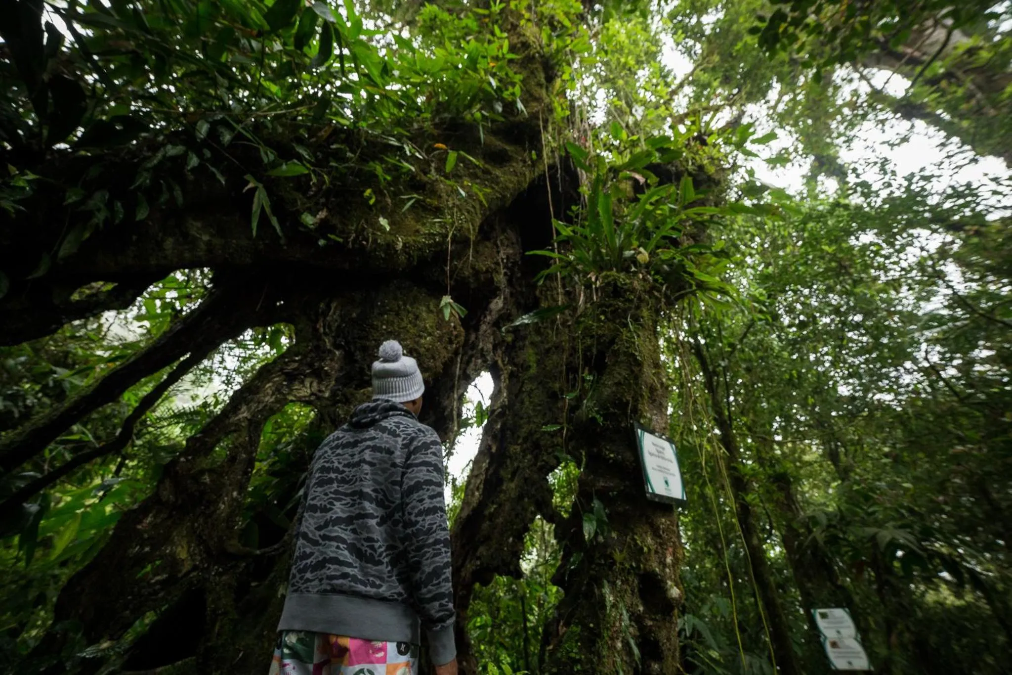 Property building in Hotel Fazenda Dona Francisca