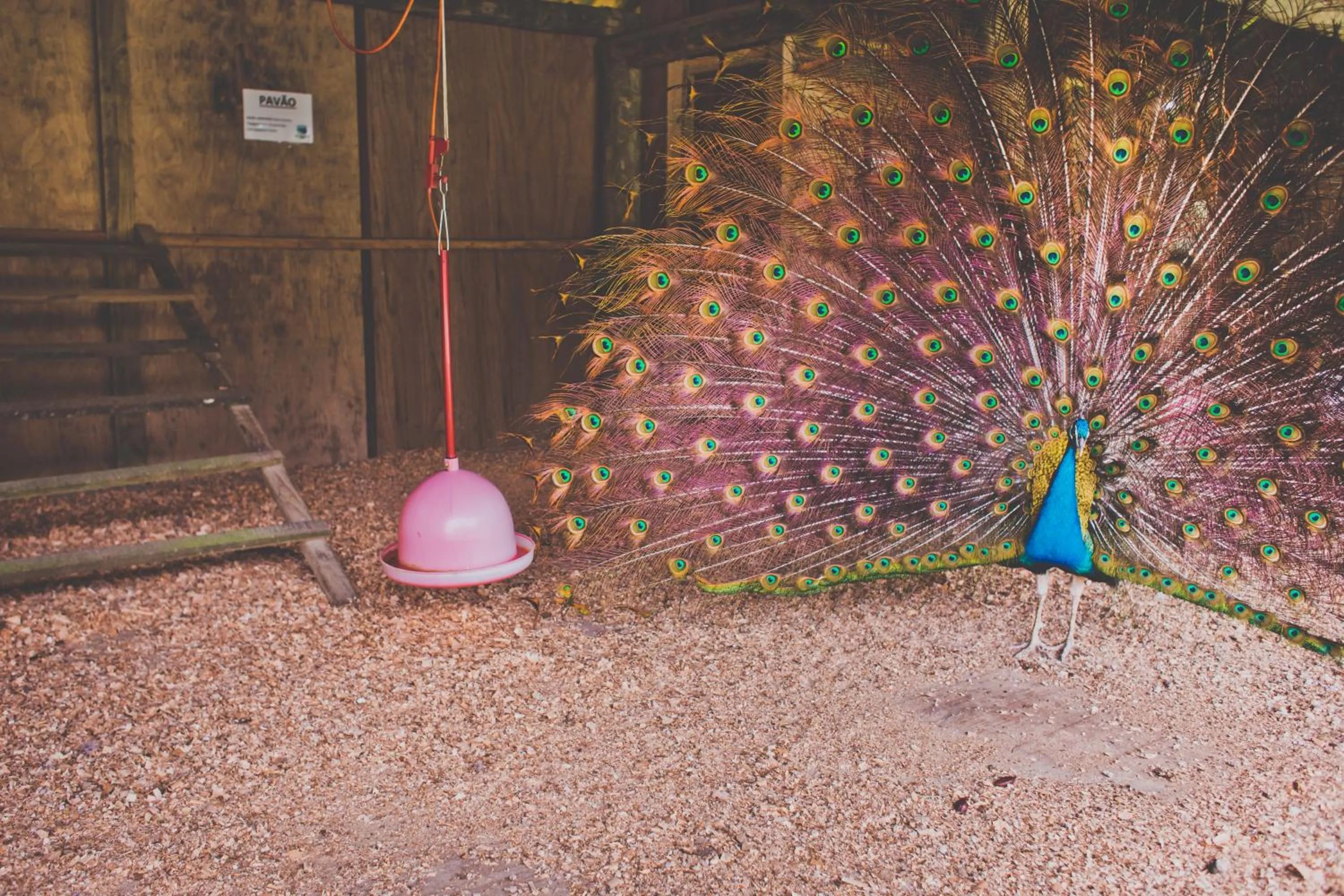 Property building in Hotel Fazenda Dona Francisca