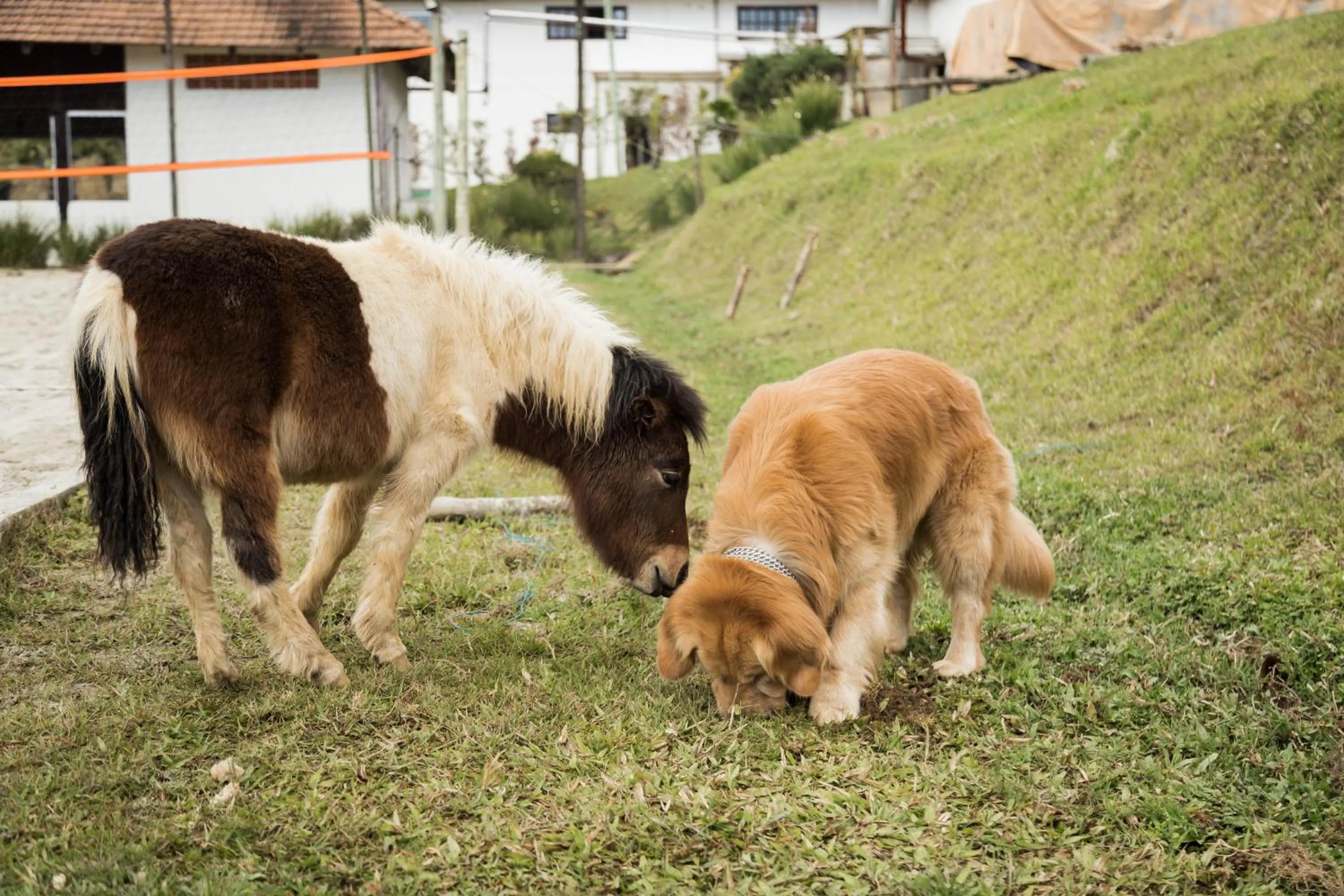 Property building in Hotel Fazenda Dona Francisca