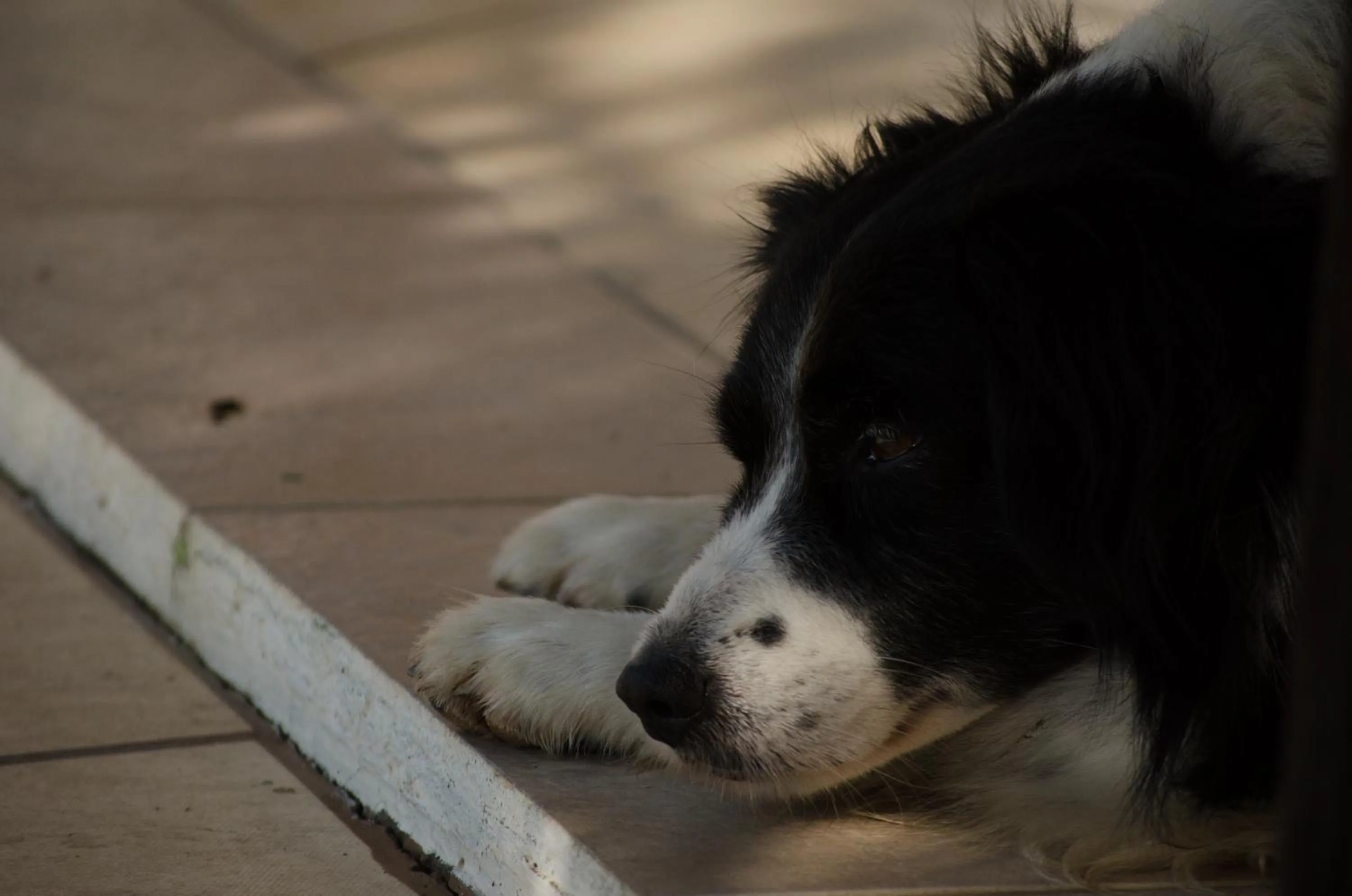 Property building in Hotel Fazenda Dona Francisca