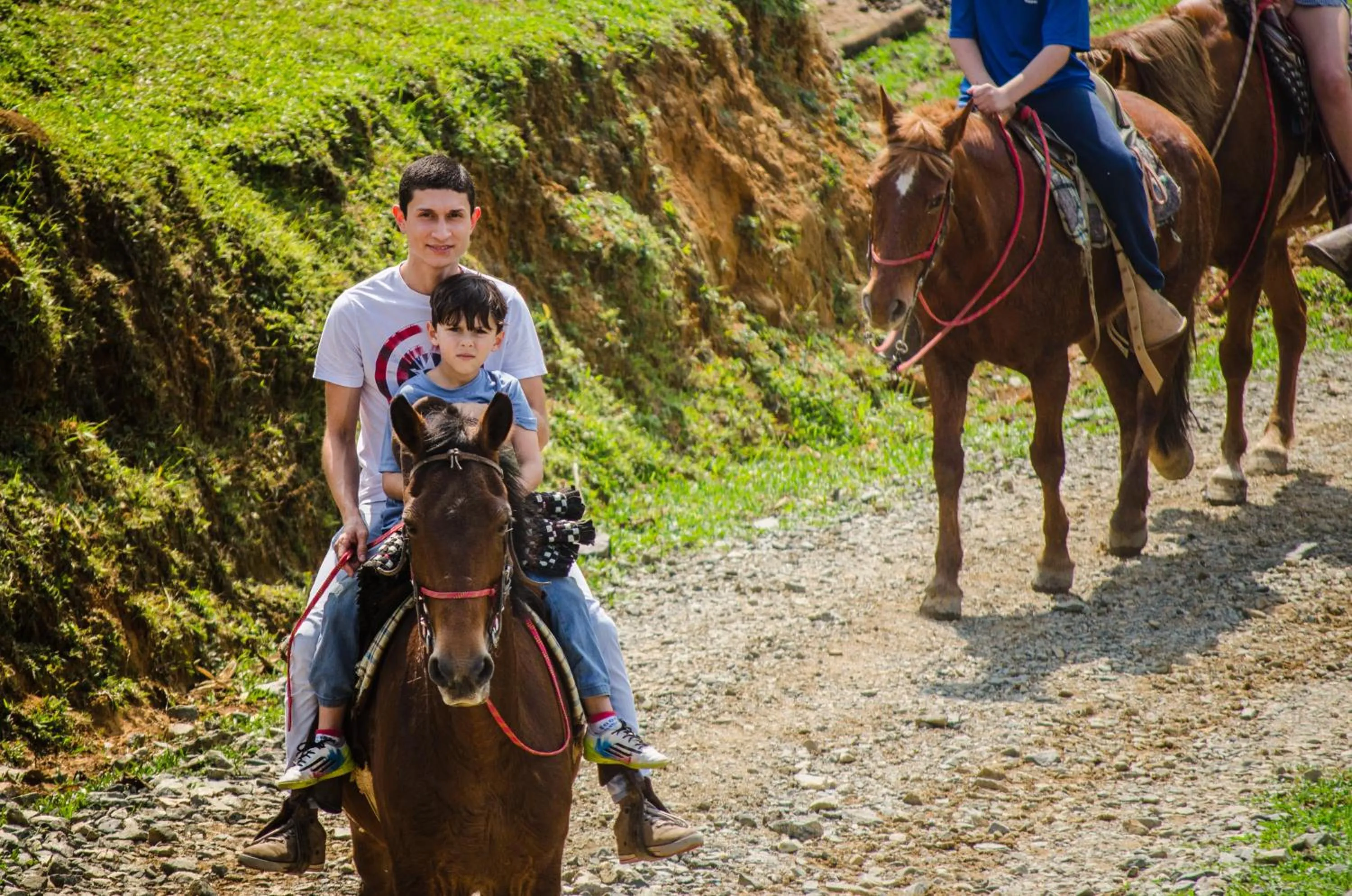 Property building in Hotel Fazenda Dona Francisca
