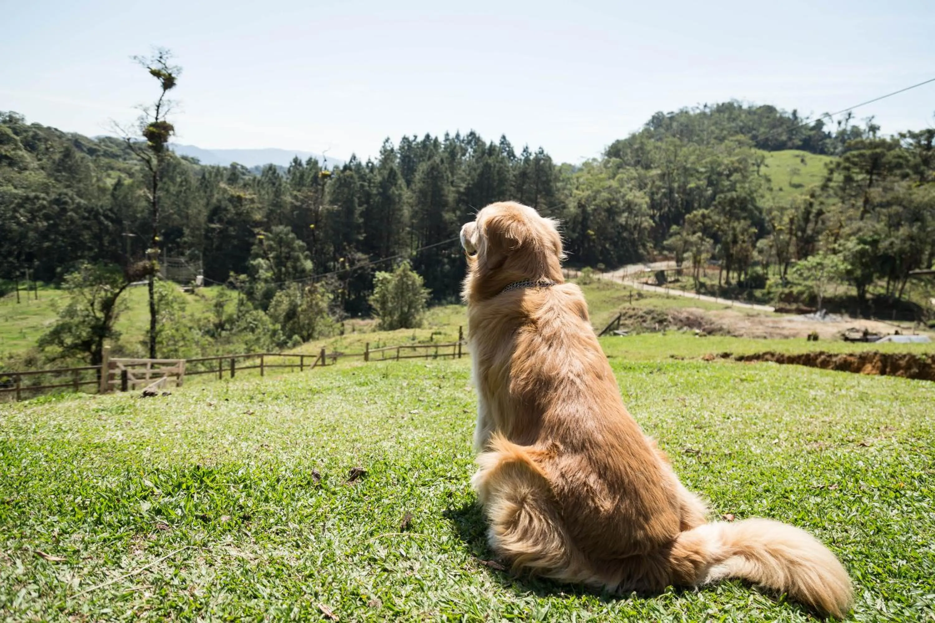 Property building in Hotel Fazenda Dona Francisca