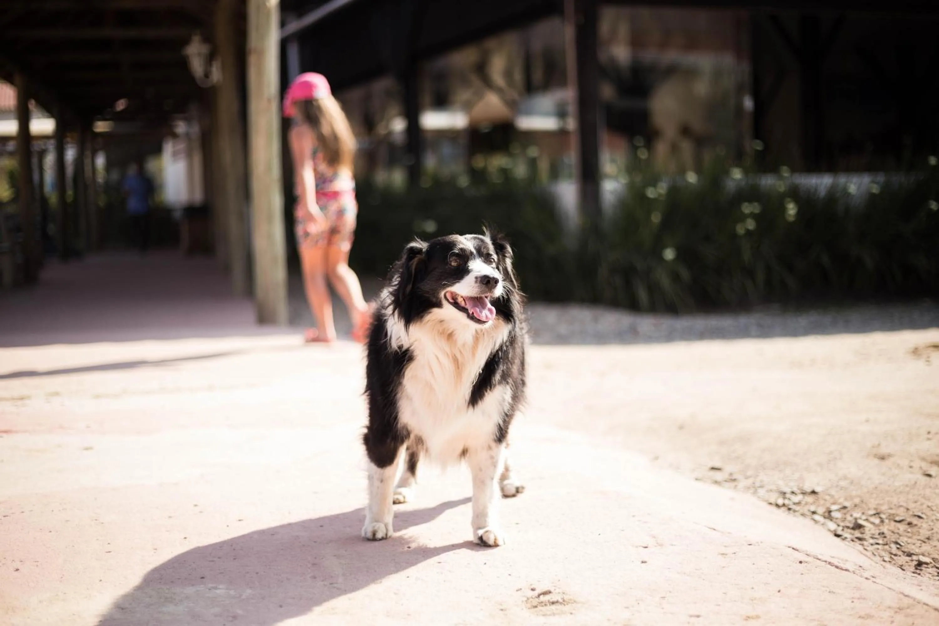 Property building in Hotel Fazenda Dona Francisca