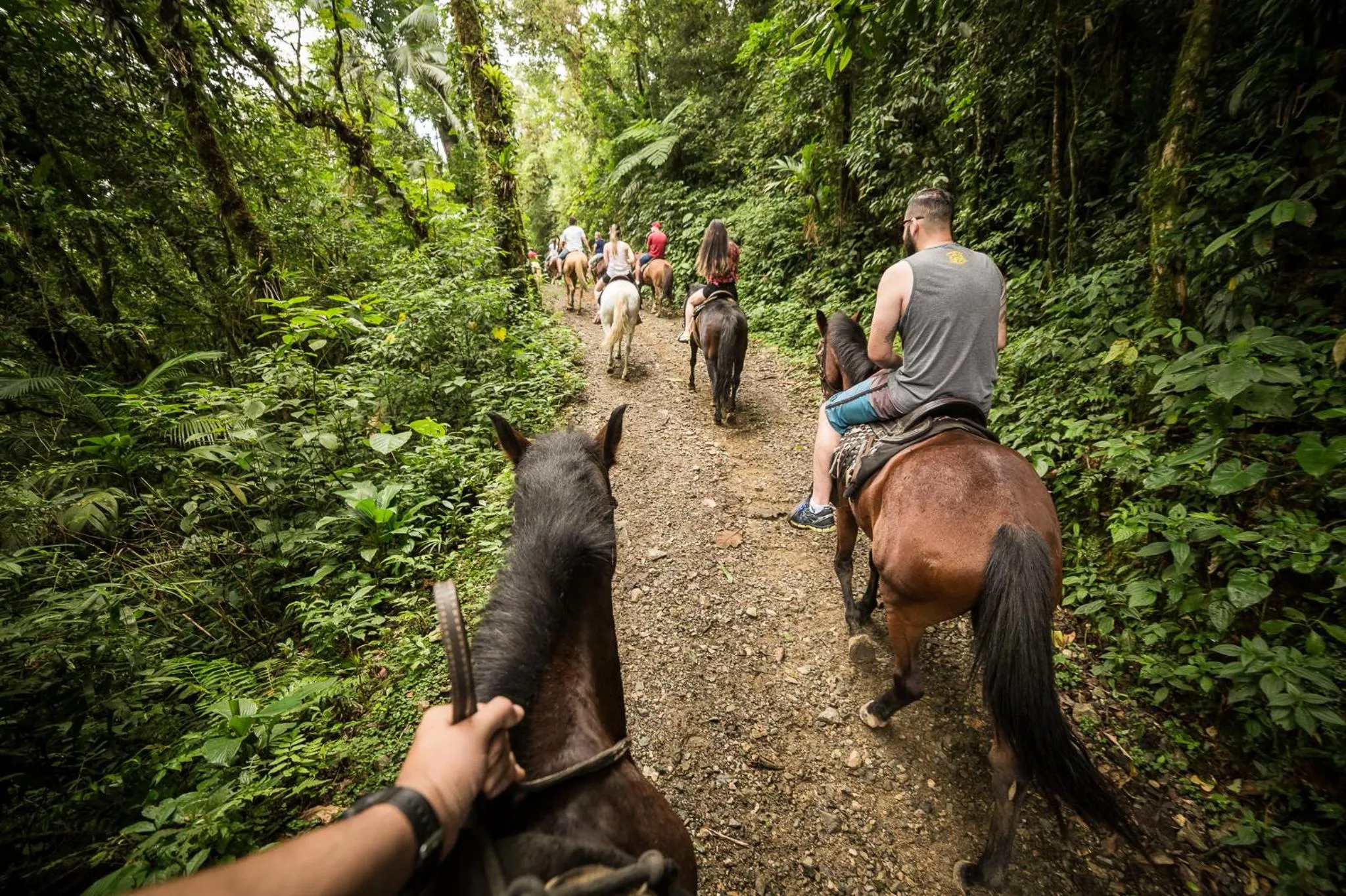 Property building in Hotel Fazenda Dona Francisca
