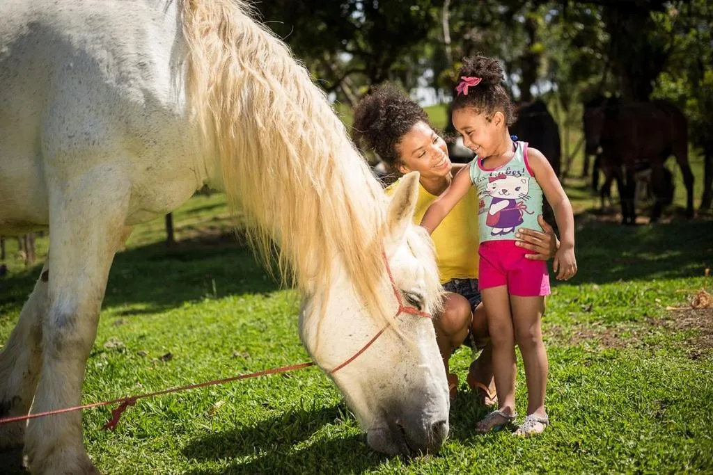 Hotel Fazenda Dona Francisca
