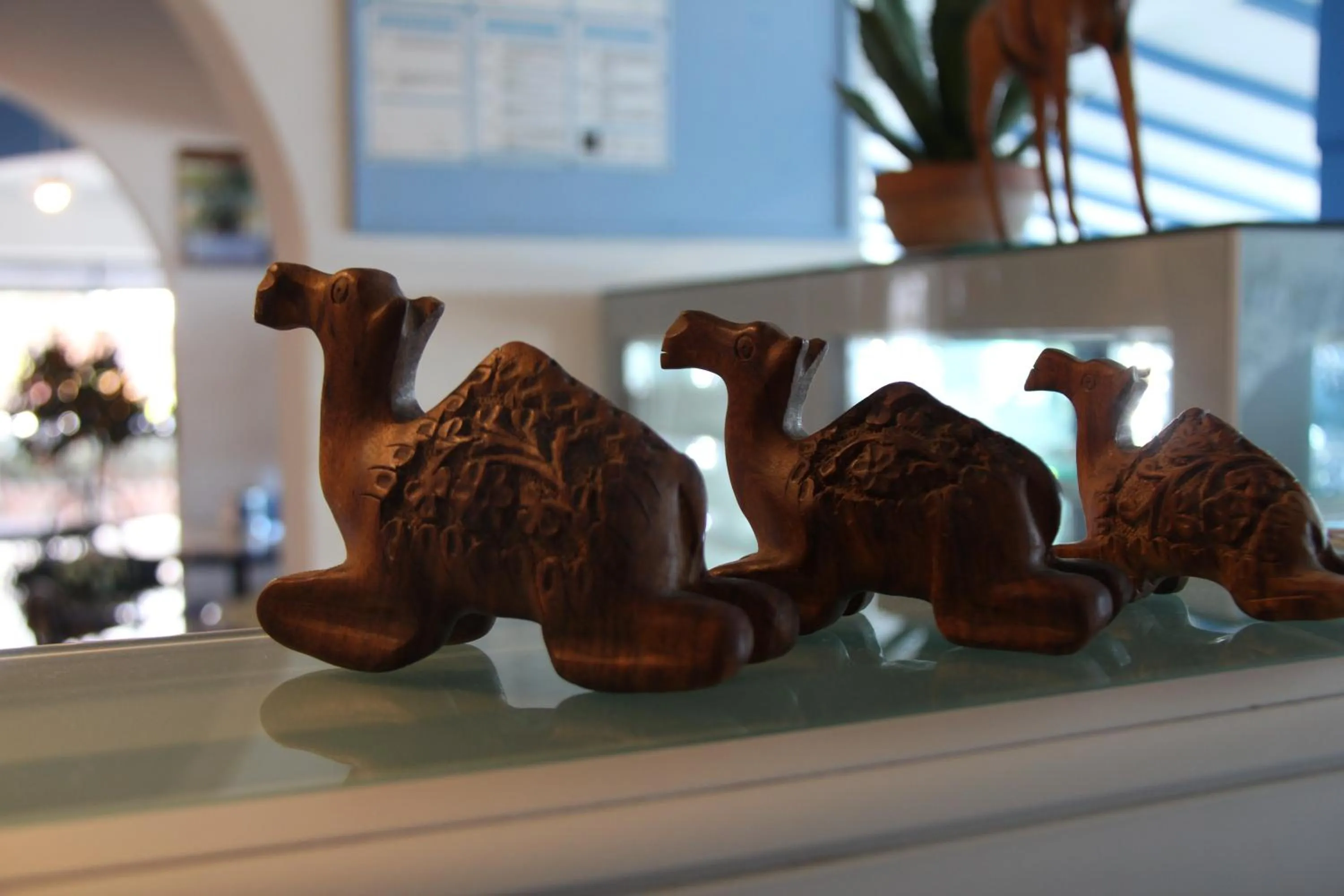 Restaurant/places to eat in Oasi Azzurra