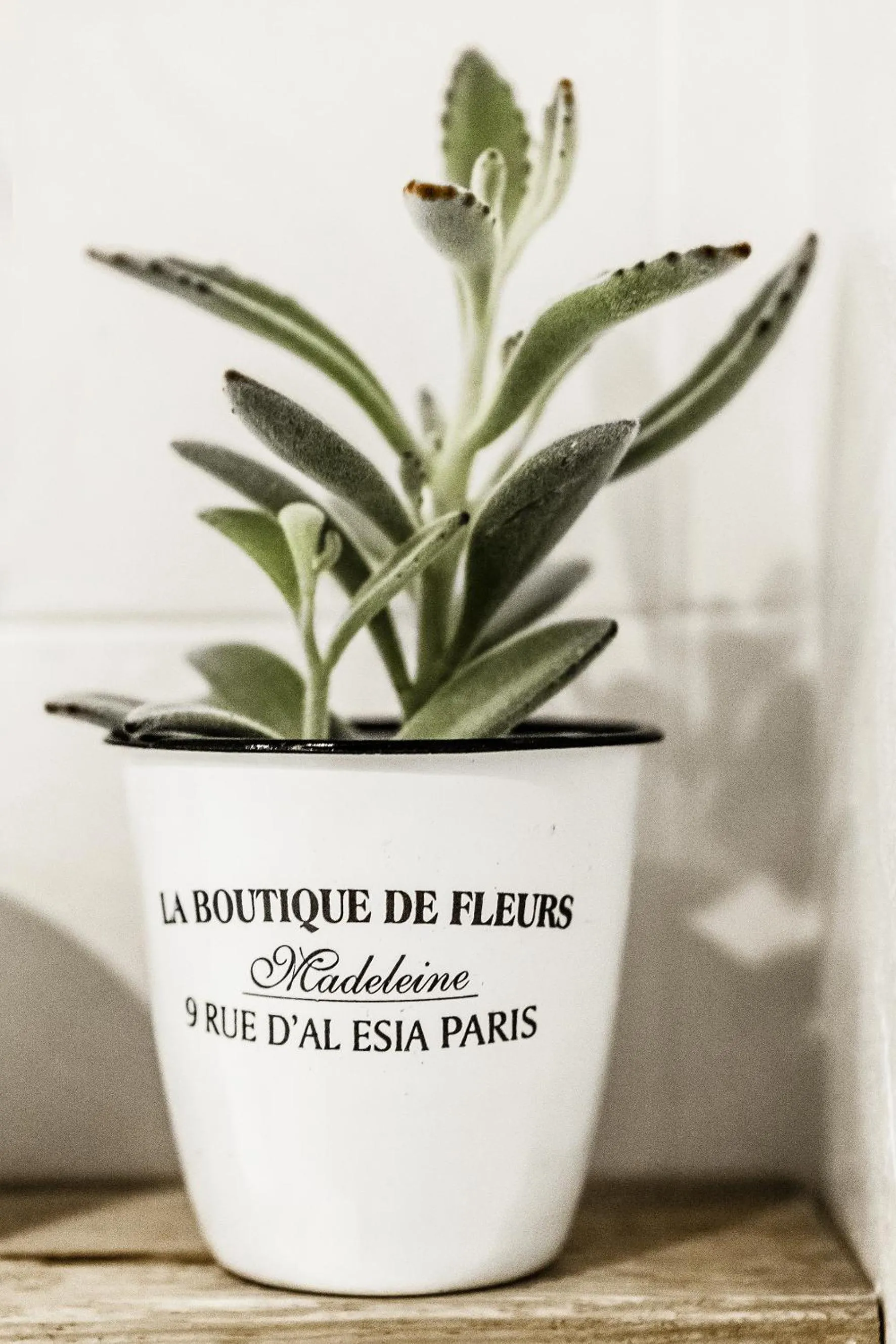 Property logo or sign in Hotel Cervetta 5