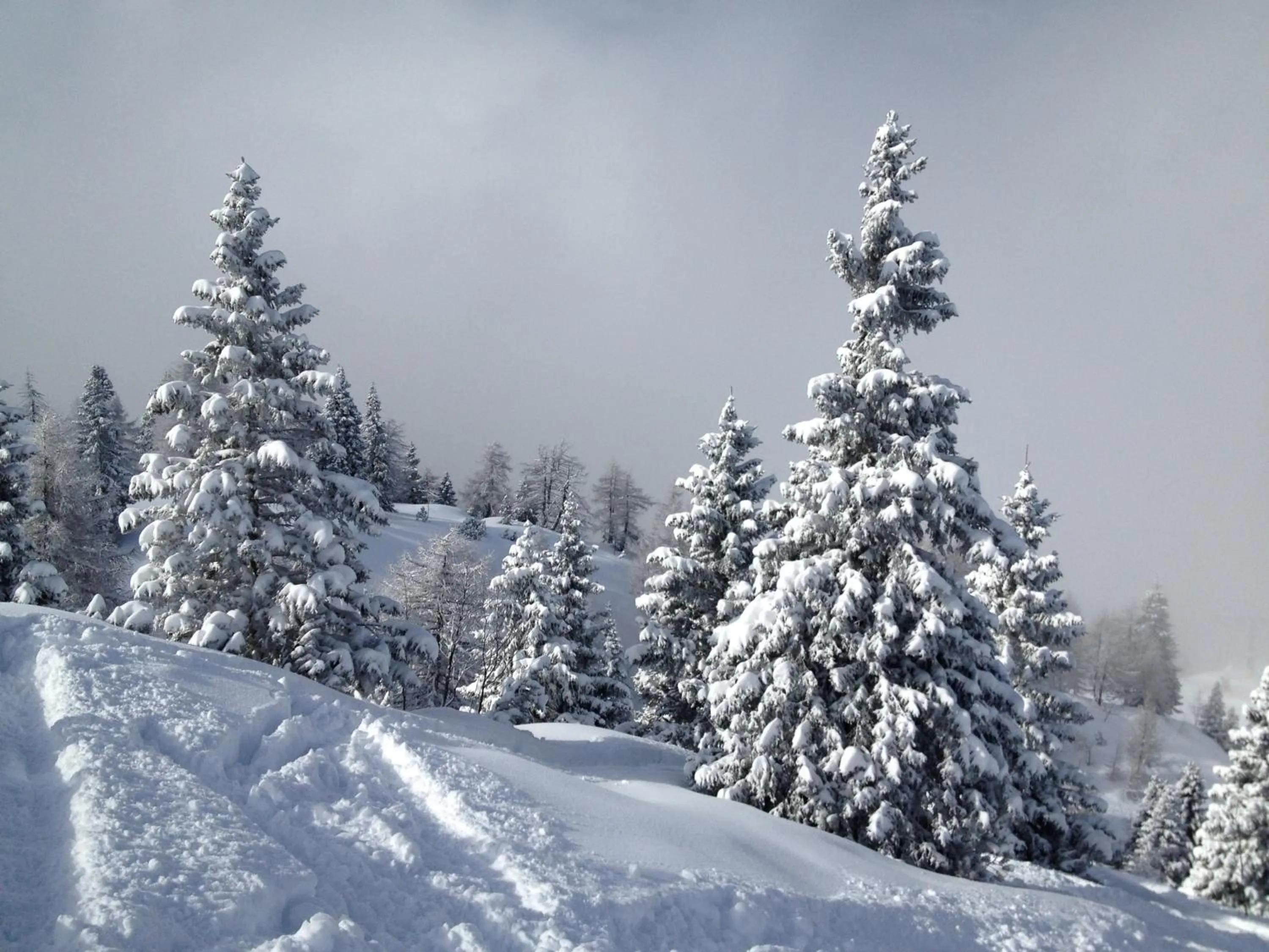 Day in Hotel Lory - Molveno - Dolomiti