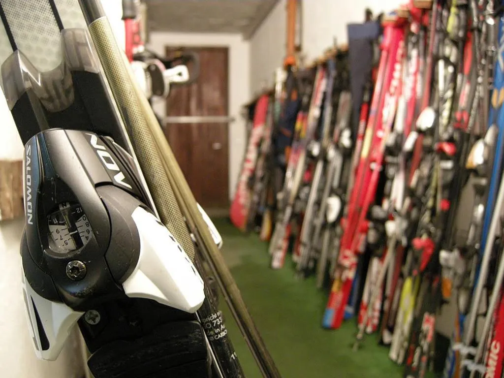 Area and facilities in Hotel Federia