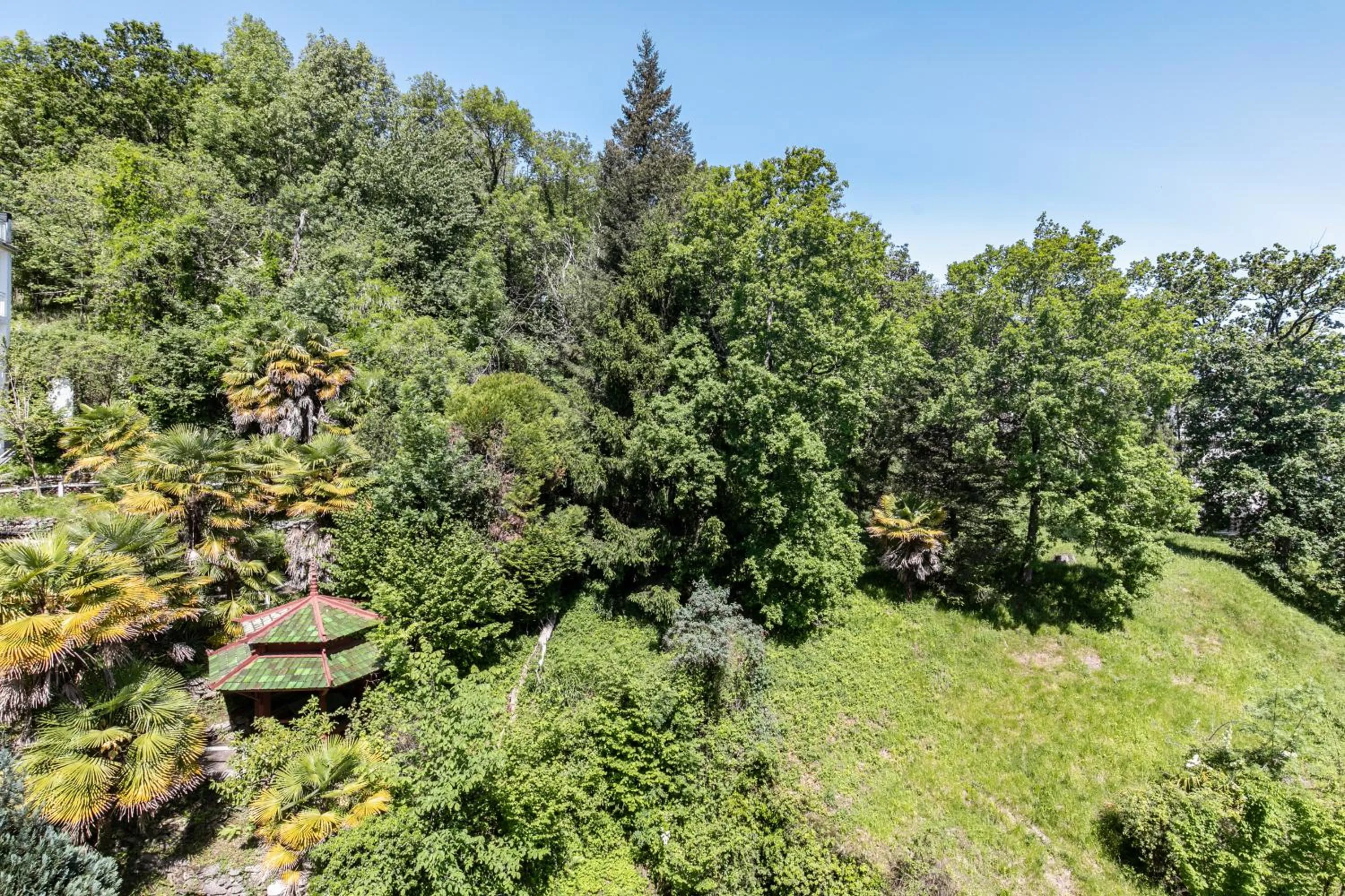 Garden view in Hôtel Miramont