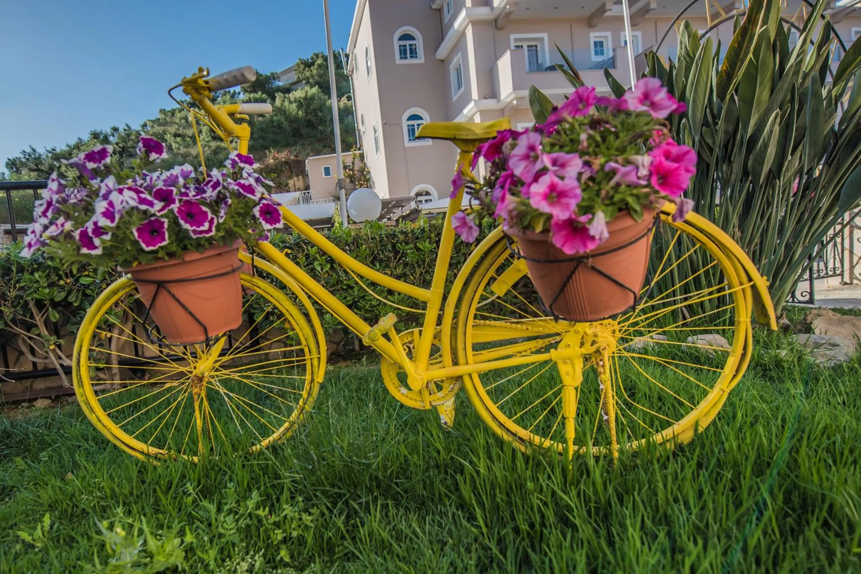 Day in Planos Beach Hotel