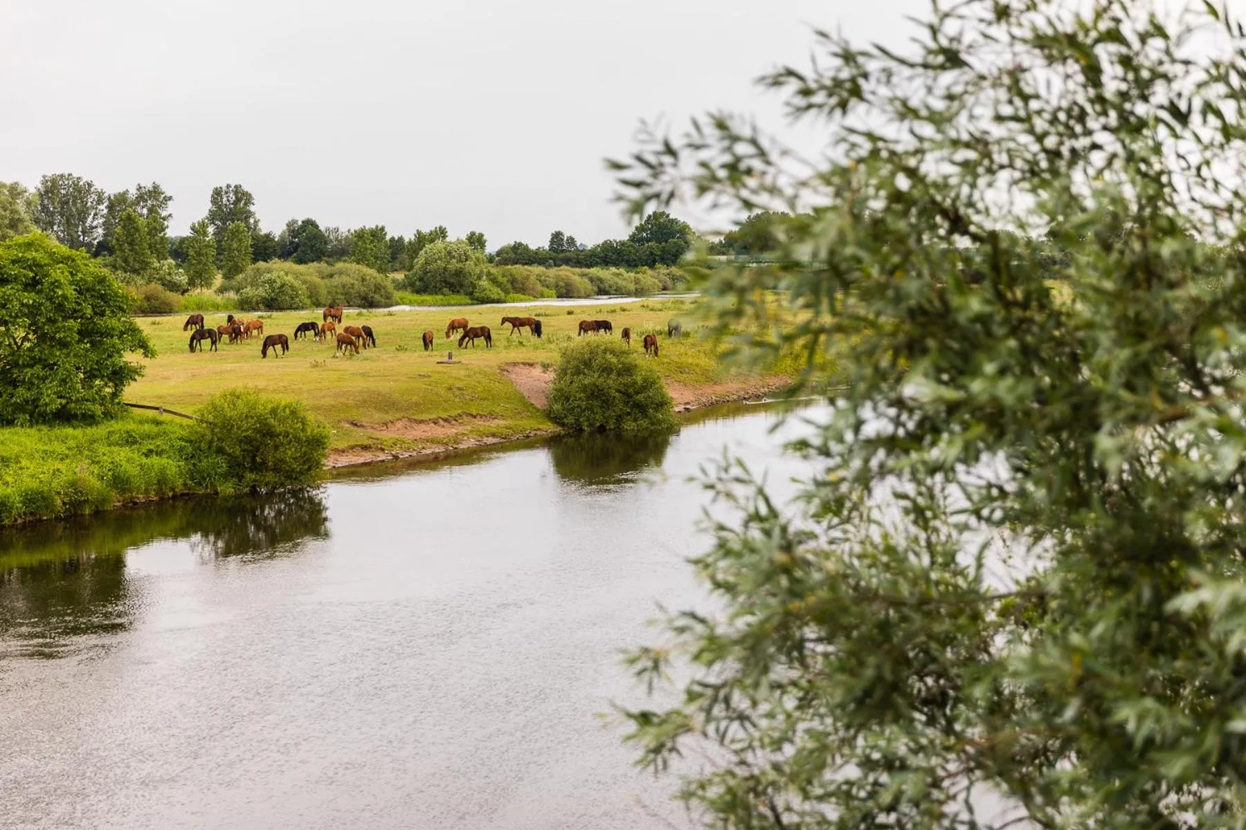 Staff in Thöles*** Am Allerpark Verden