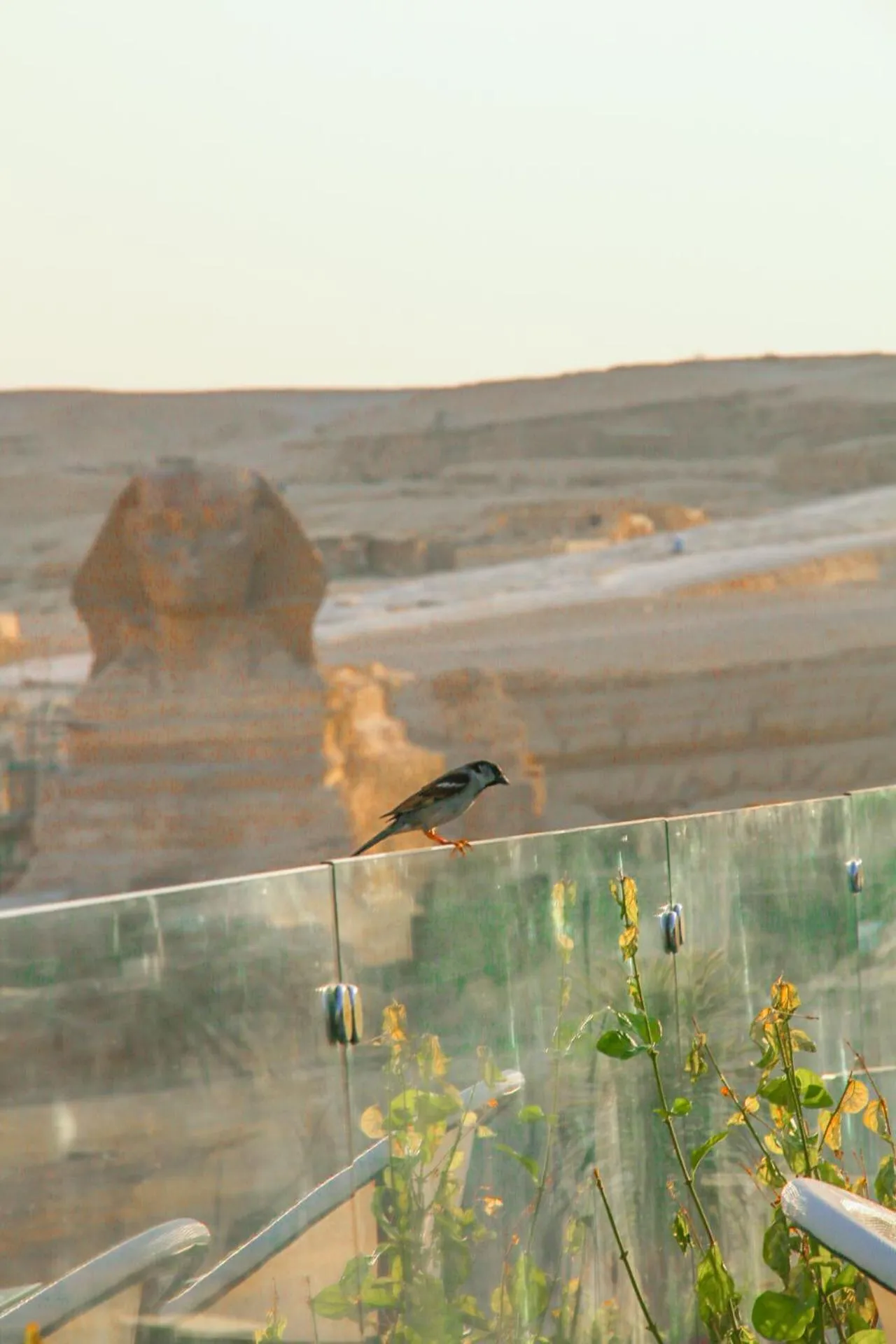 View (from property/room) in Pyramids Valley Boutique Hotel