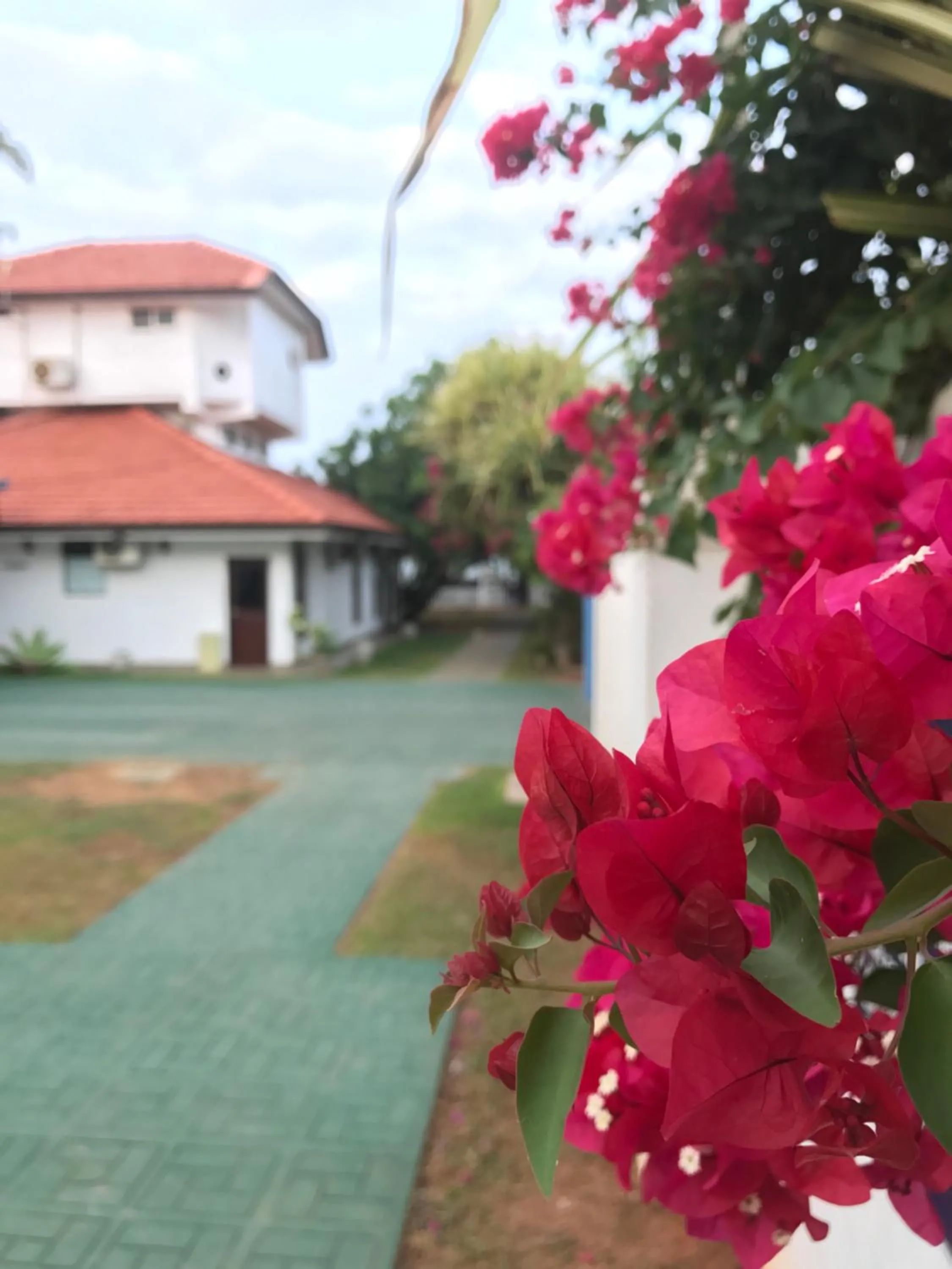 Property building in White Rose Beach Resort