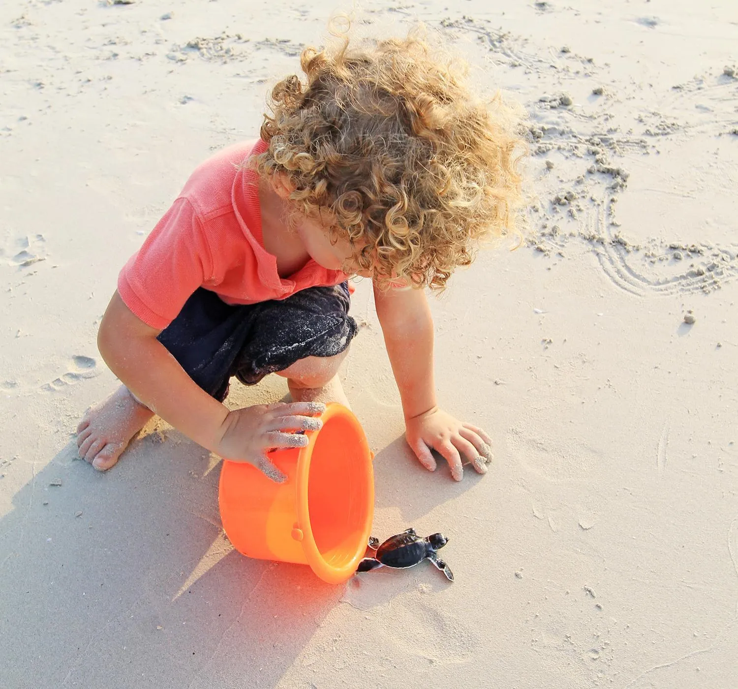 Activities in Mayang Sari Beach Resort