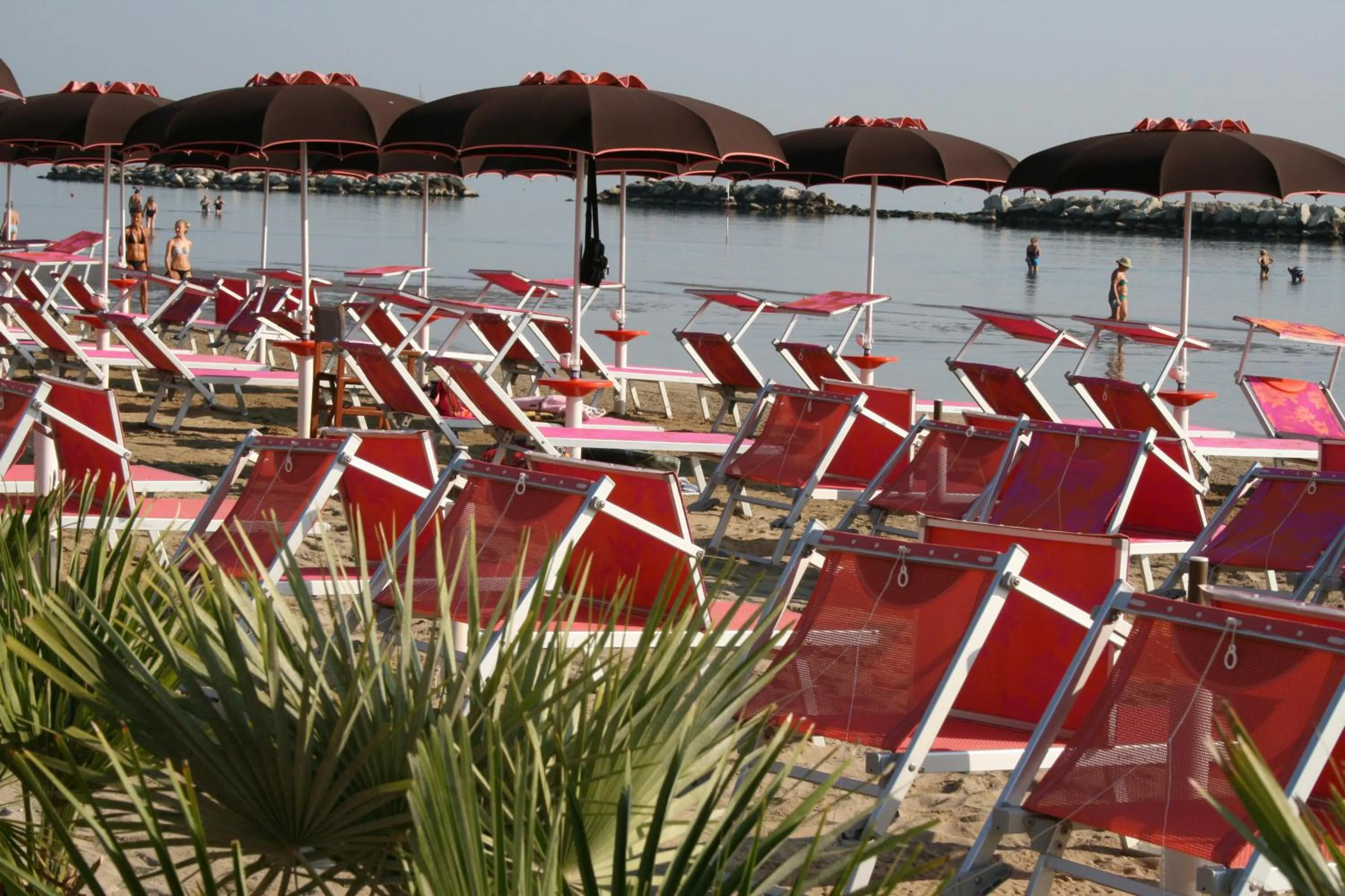 Beach in Hotel Concorde