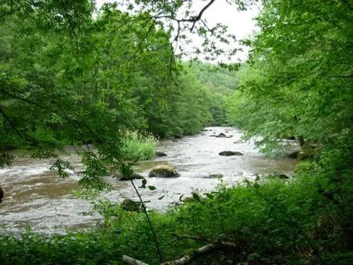 Area and facilities in The Originals City, Hôtel de France, Bessines-sur-Gartempe