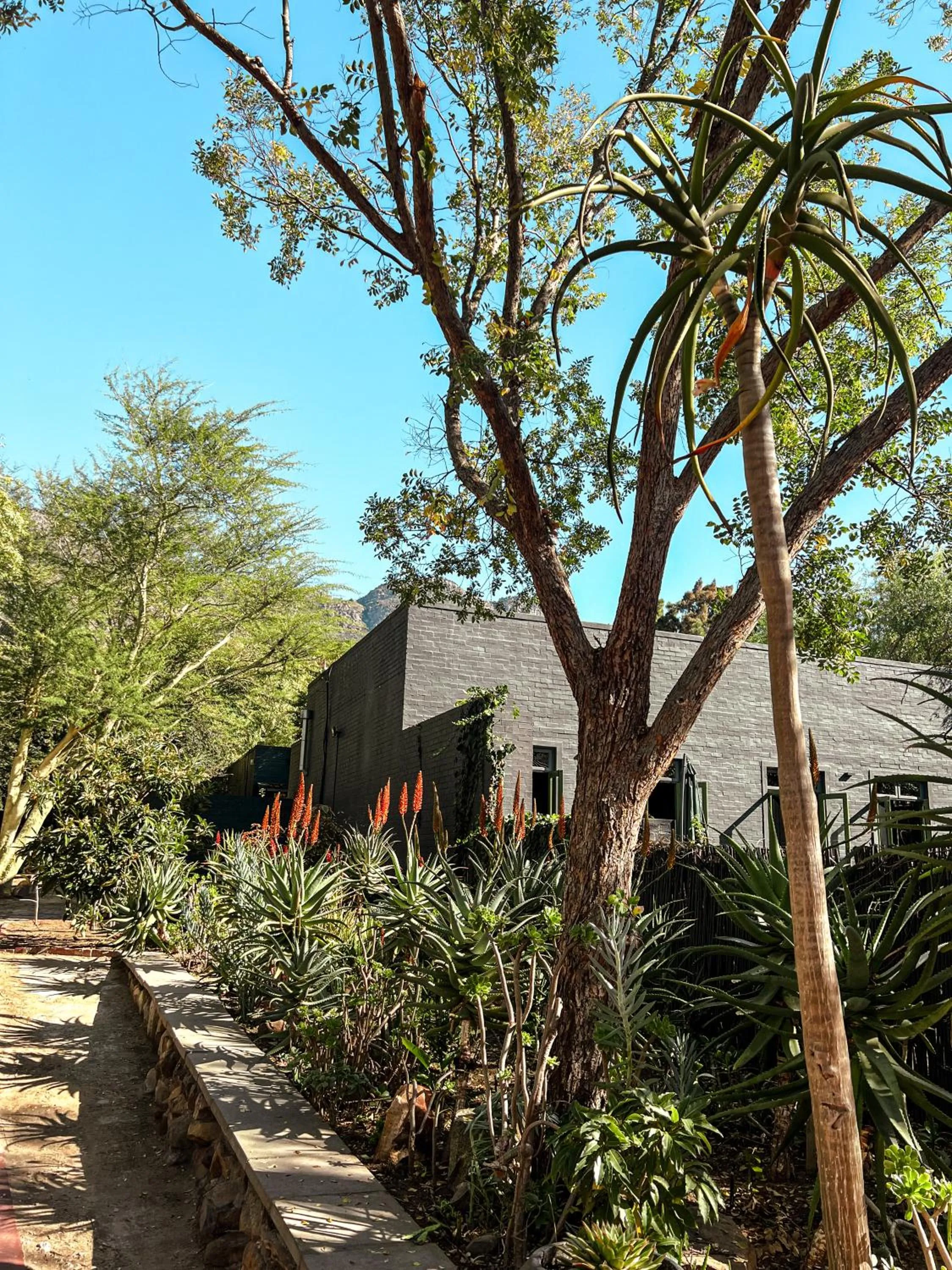 Property building in Ruby Rose