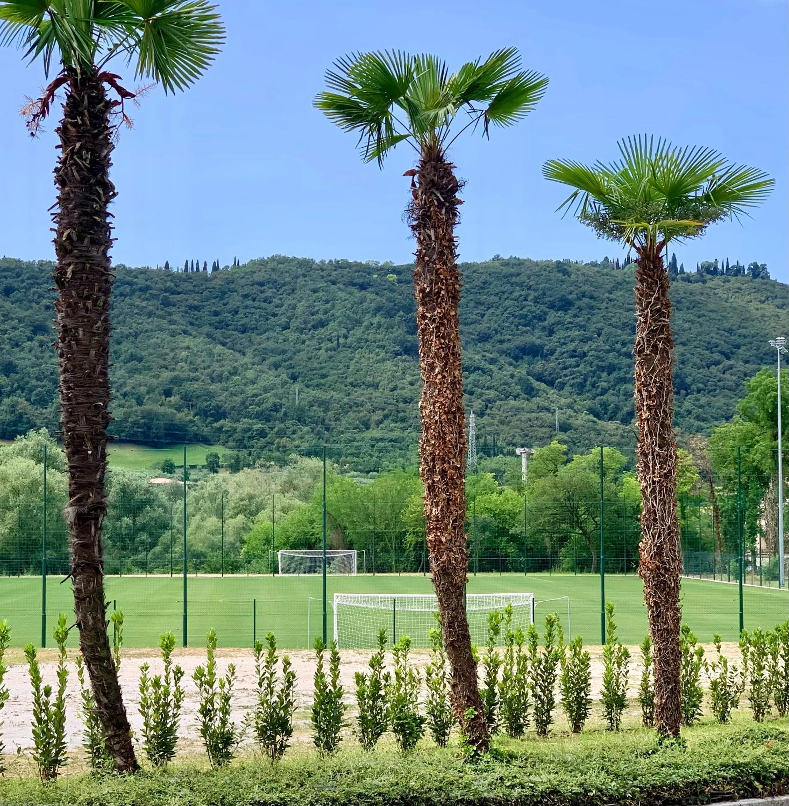 Sports in Poiano Garda Resort Appartamenti