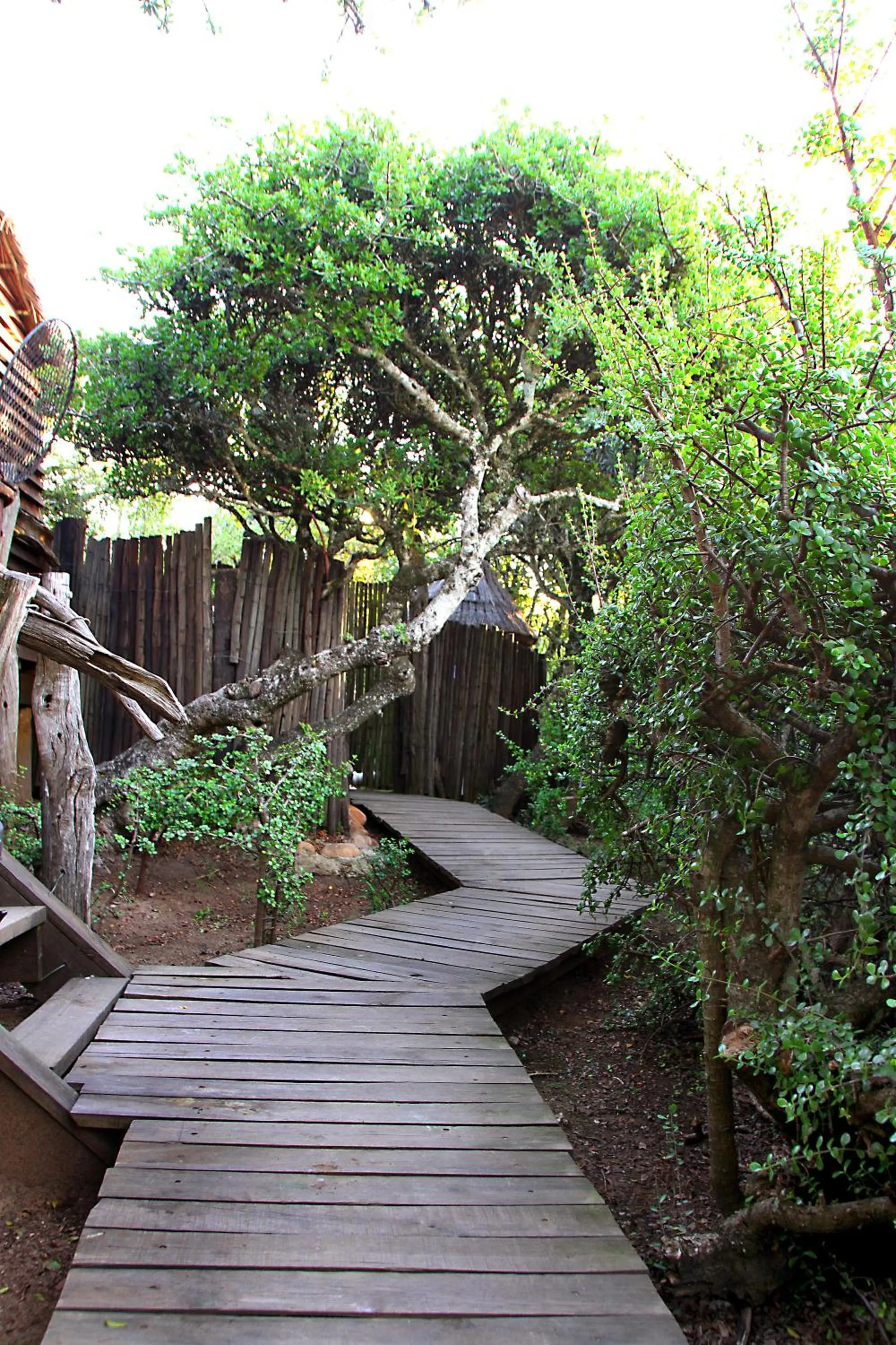 Other in Addo Dung Beetle Guest Farm