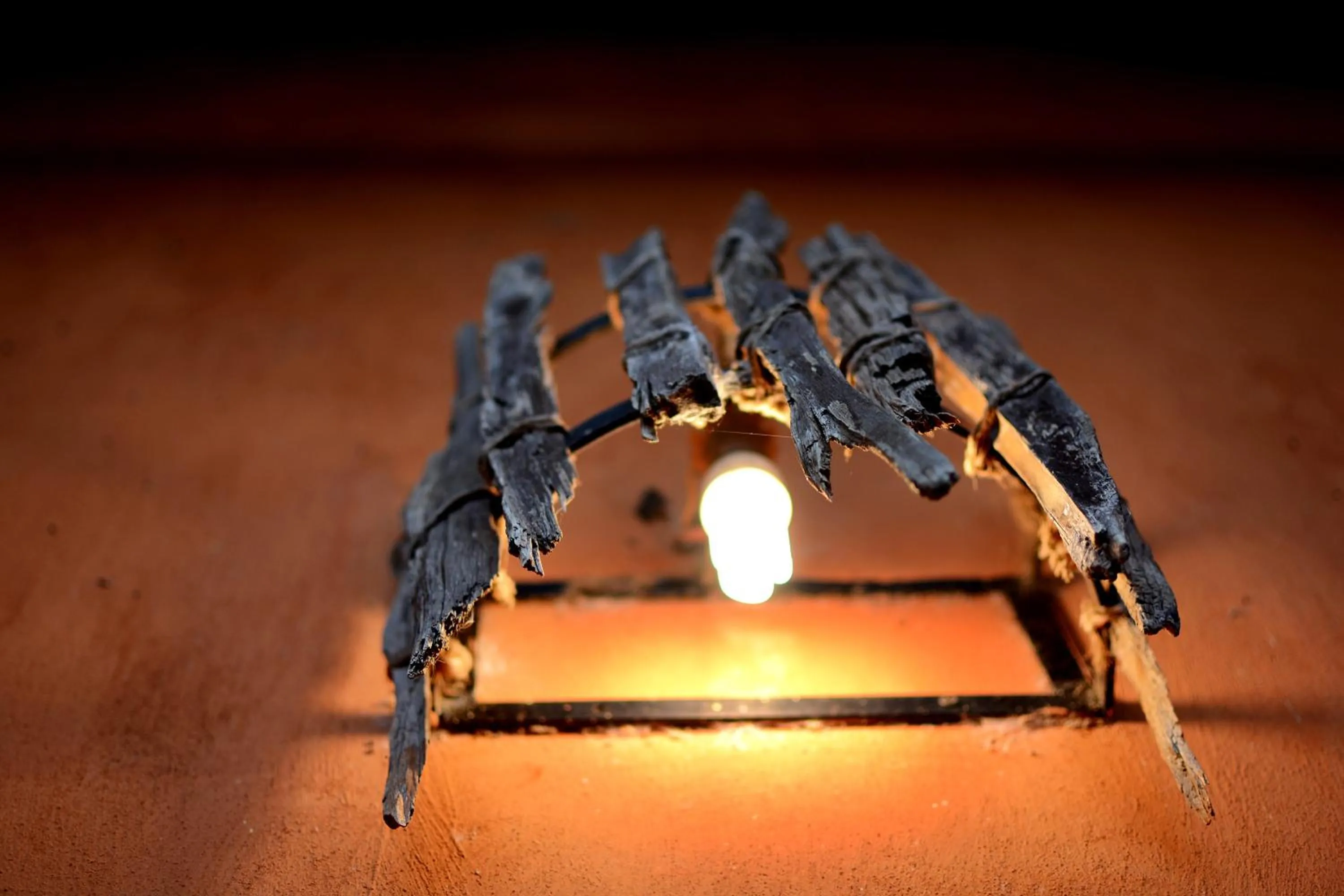 Decorative detail in Addo Dung Beetle Guest Farm