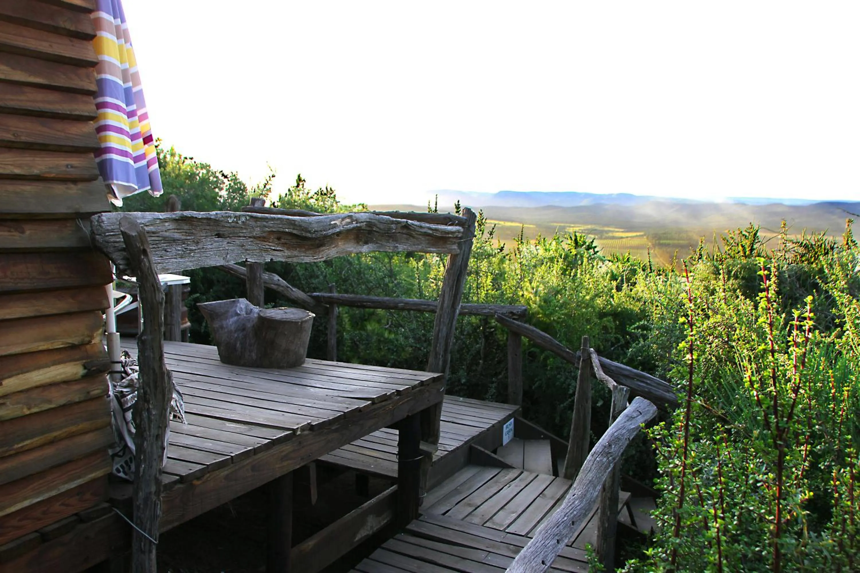 Day in Addo Dung Beetle Guest Farm