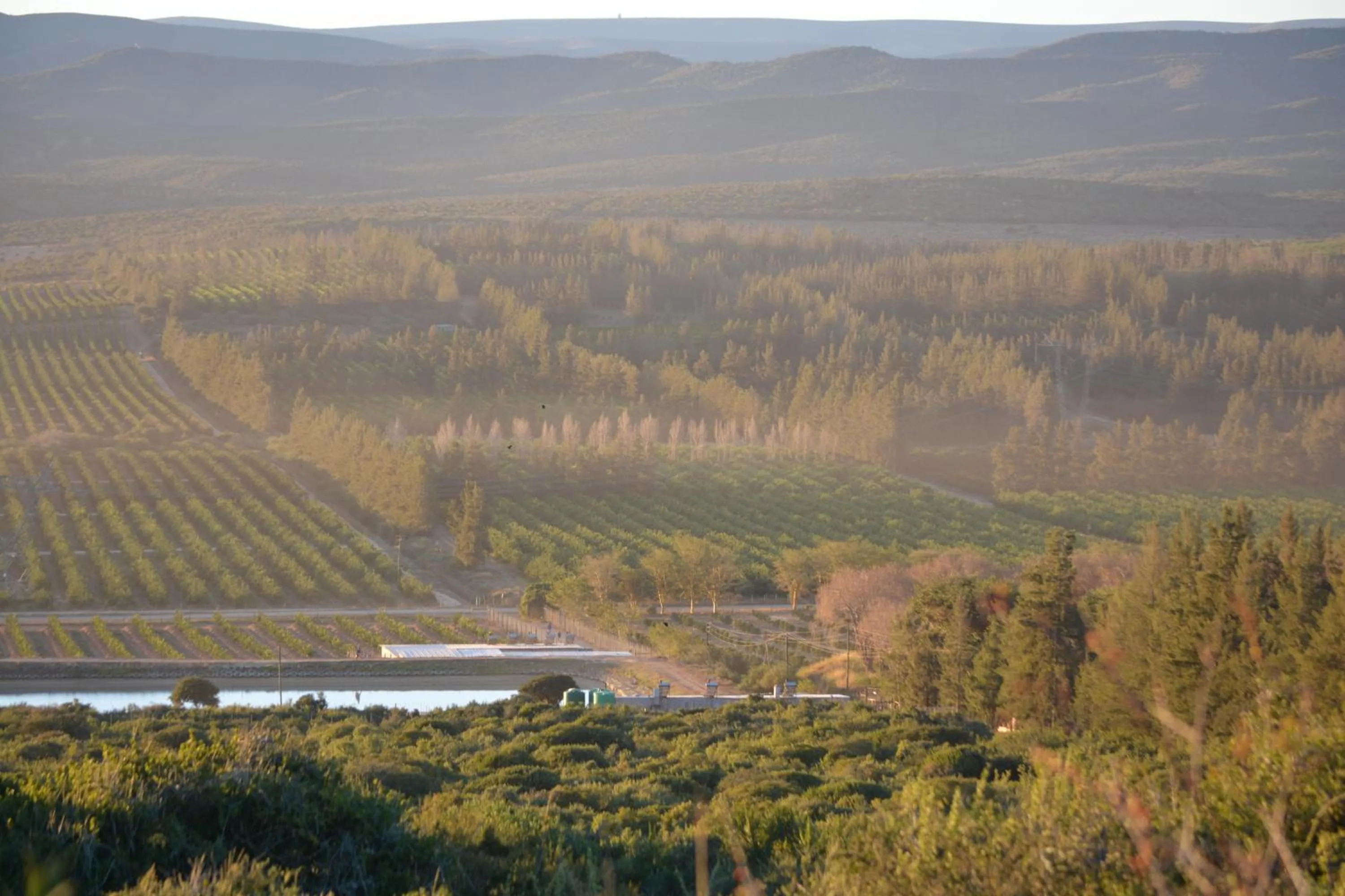 Bird's eye view in Addo Dung Beetle Guest Farm