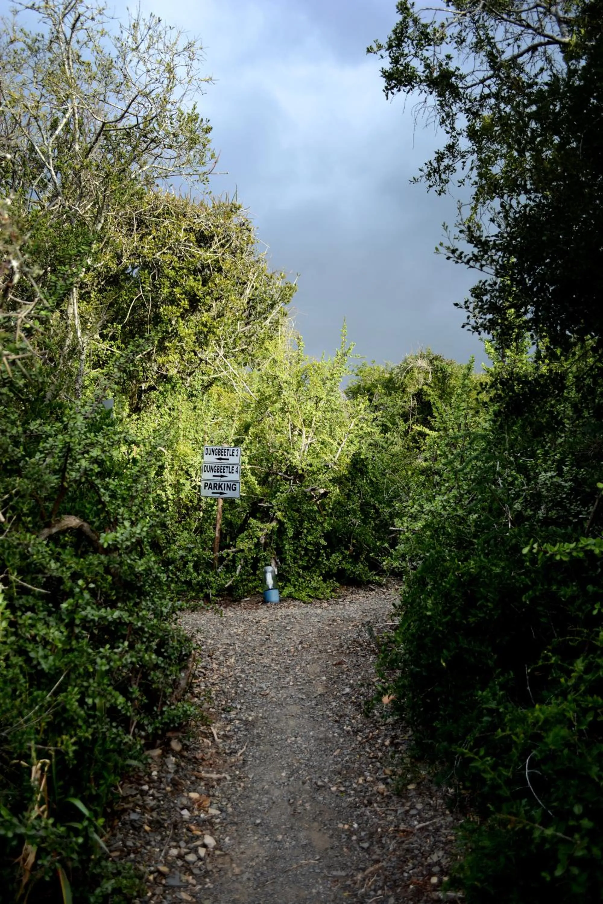 Garden in Addo Dung Beetle Guest Farm