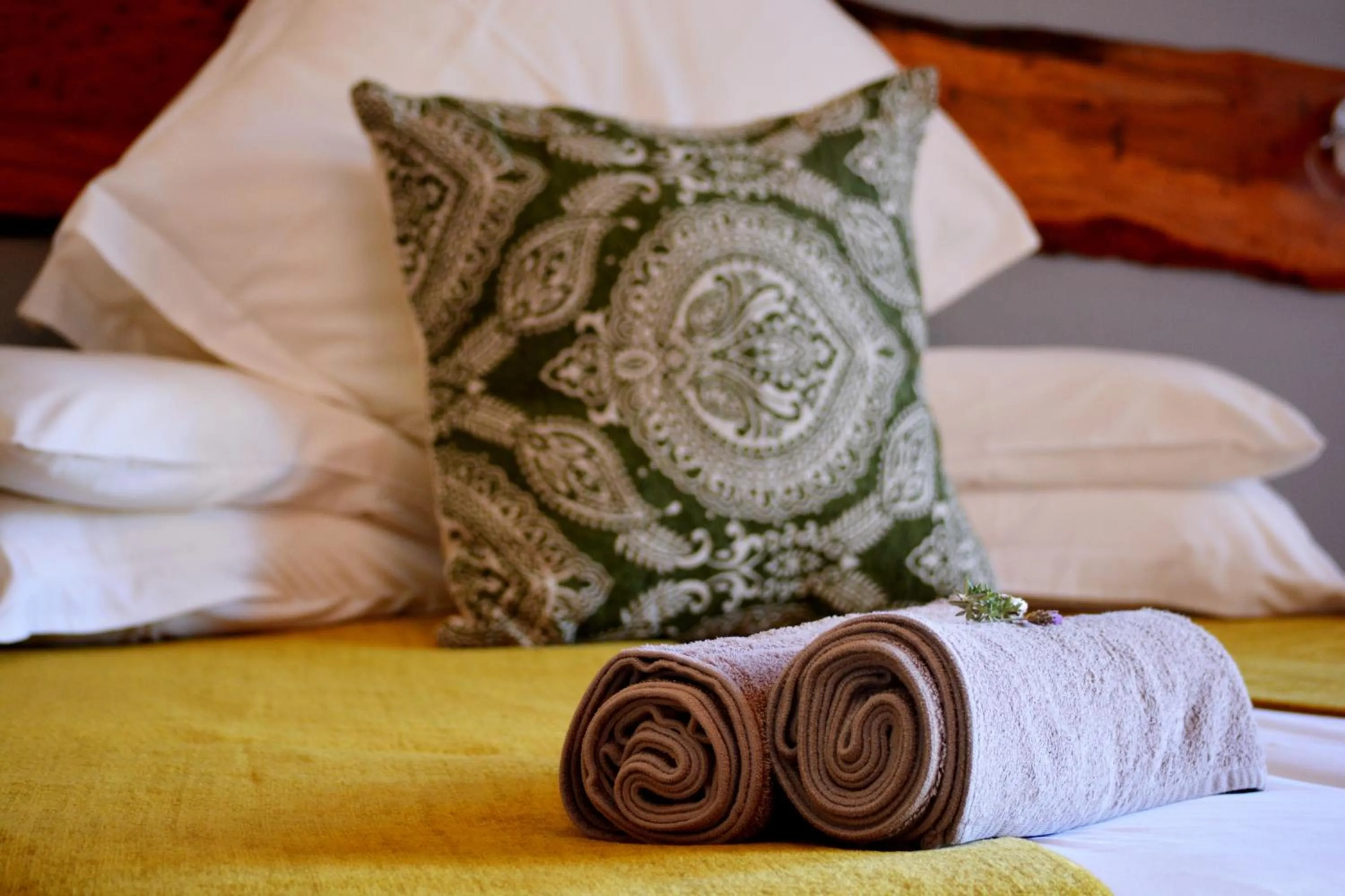 Decorative detail, Bed in Addo Dung Beetle Guest Farm