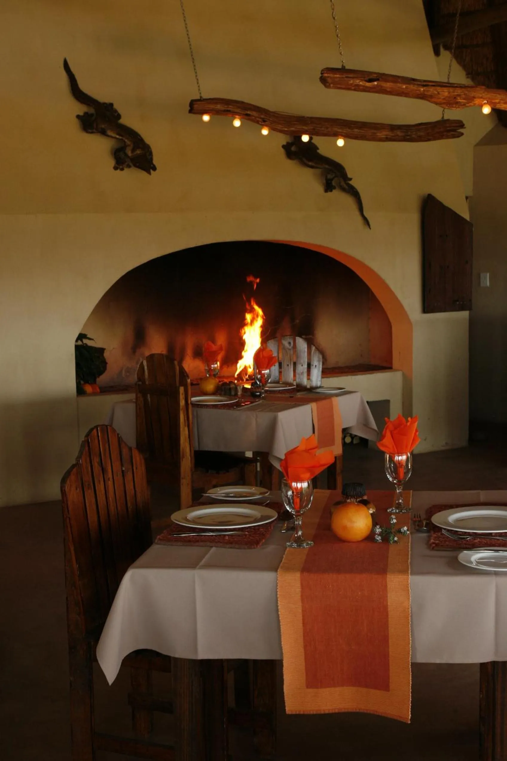 Lounge or bar in Addo Dung Beetle Guest Farm