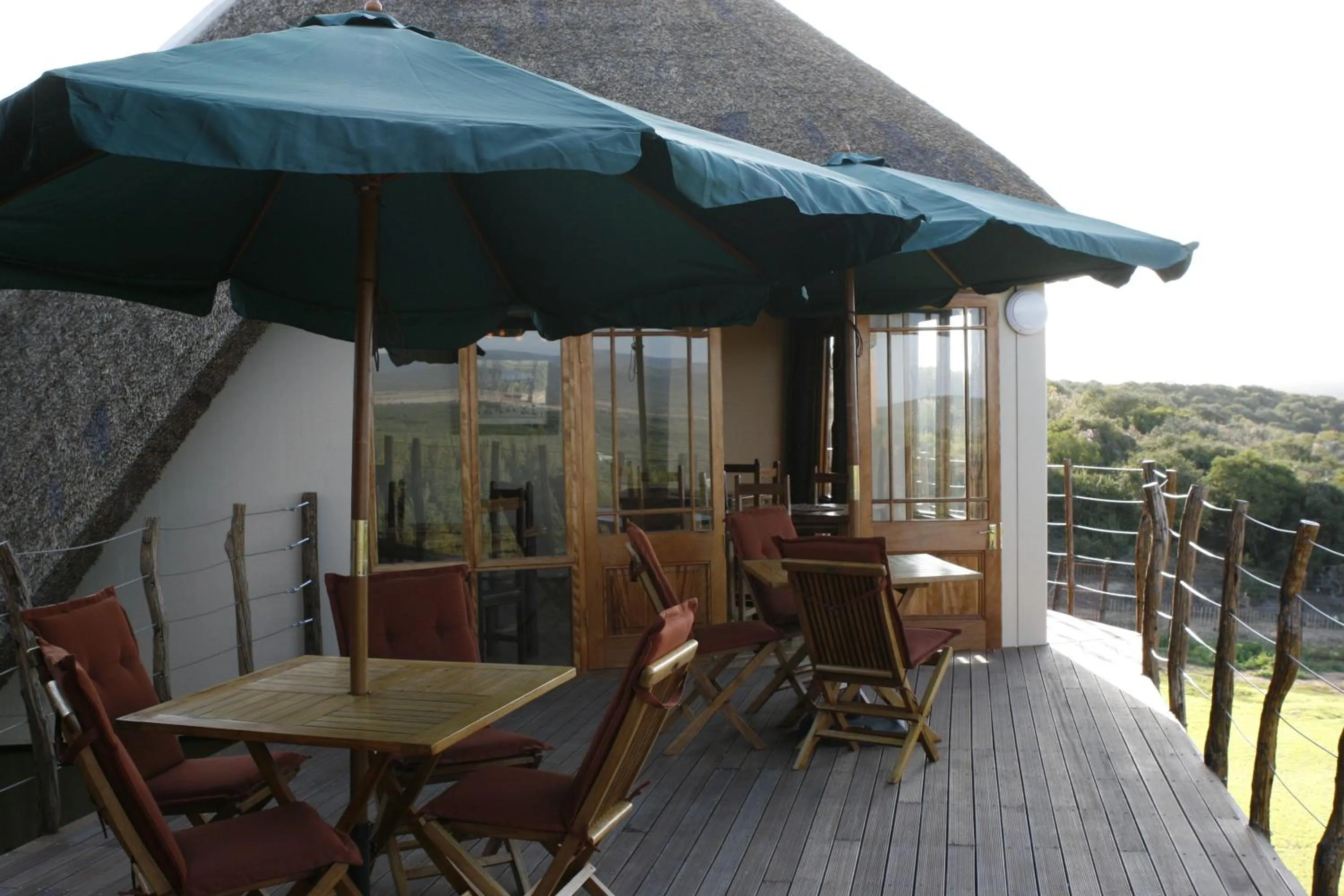 View (from property/room) in Addo Dung Beetle Guest Farm