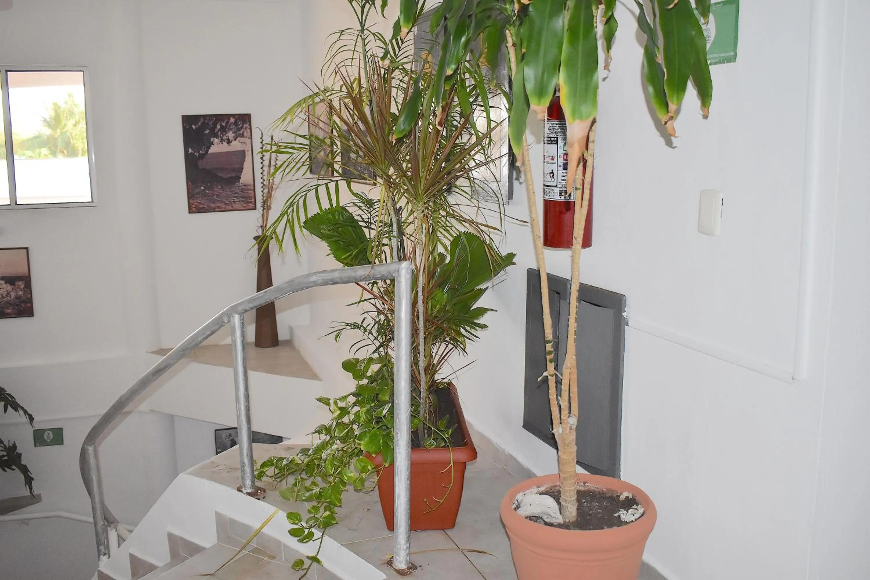 Area and facilities in Plaza Almendros Hotel Isla Mujeres