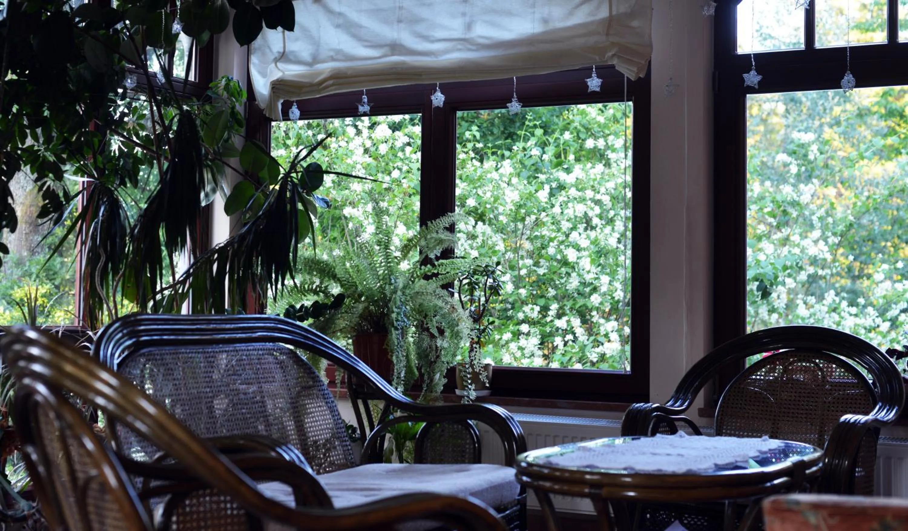 Spring in Hotel Magnes