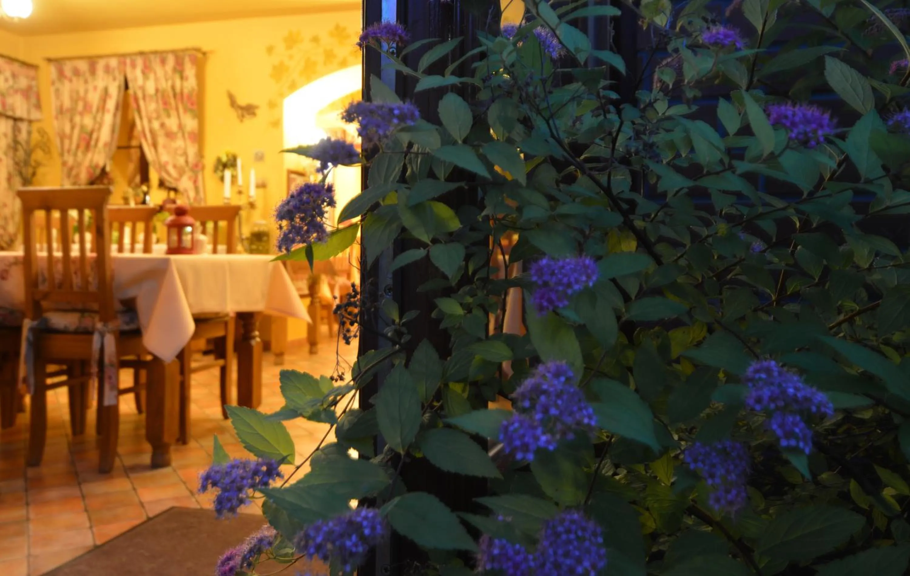 Restaurant/places to eat in Hotel Magnes