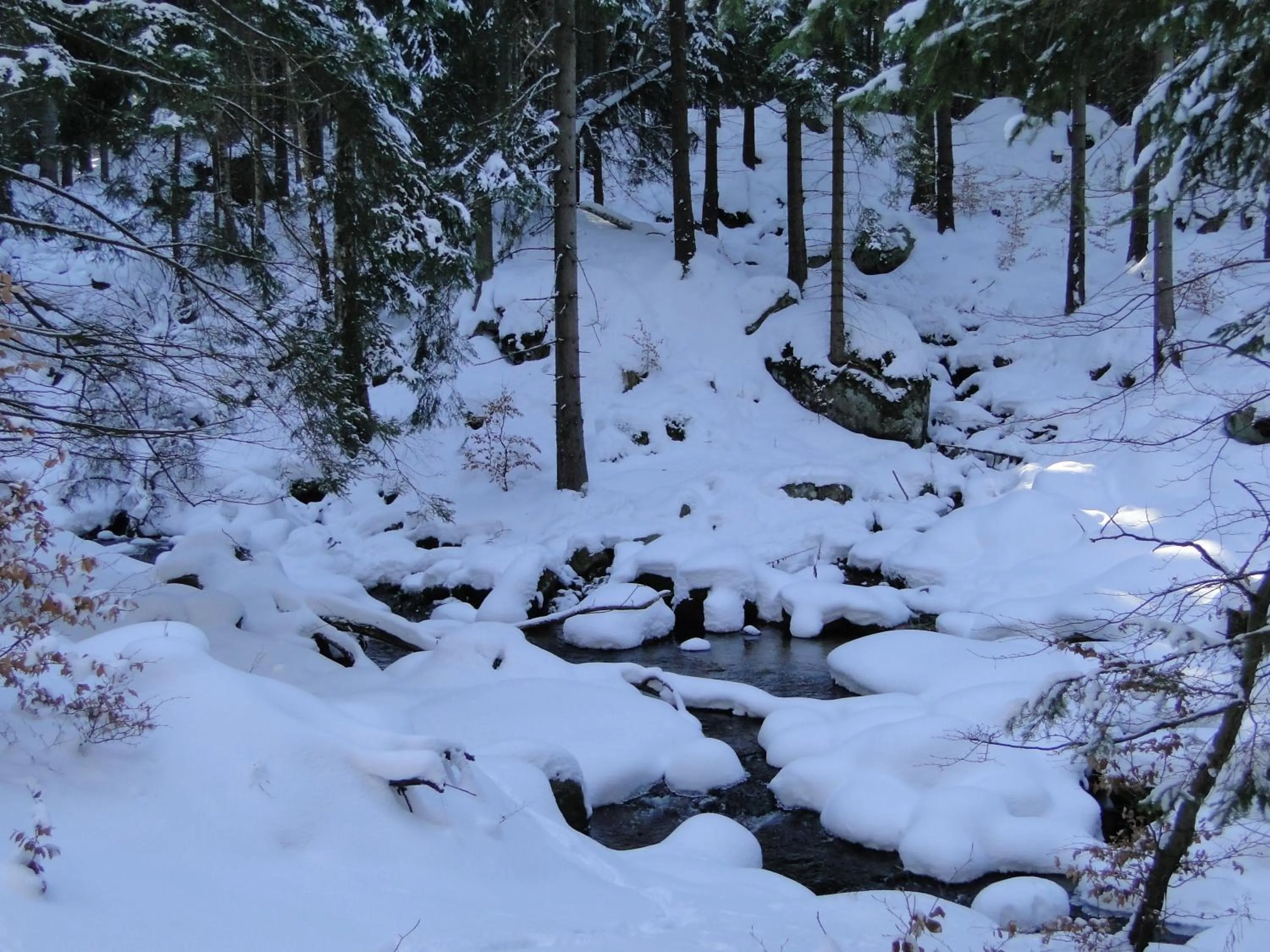 Off site in Hotel Magnes