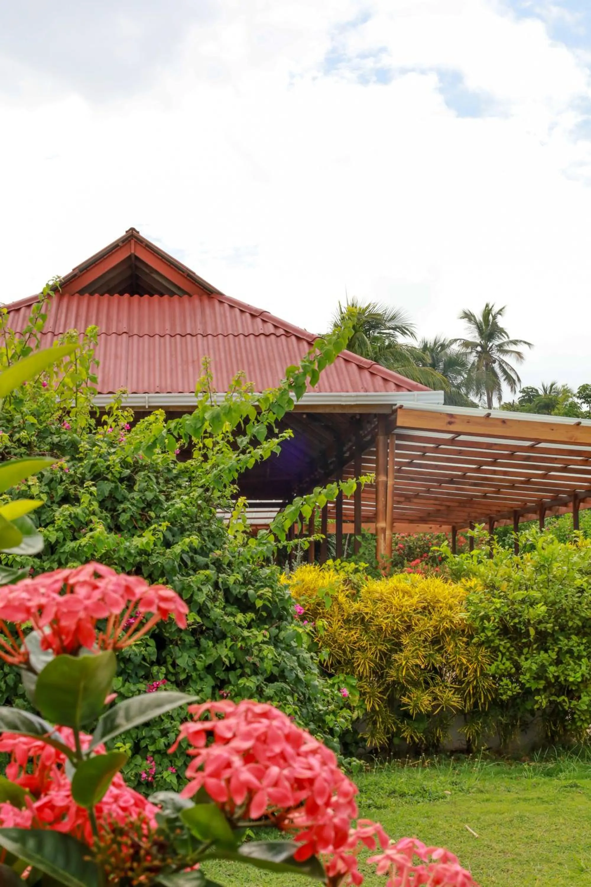 Garden view in Miraflores Boutique Hotel Adults Only