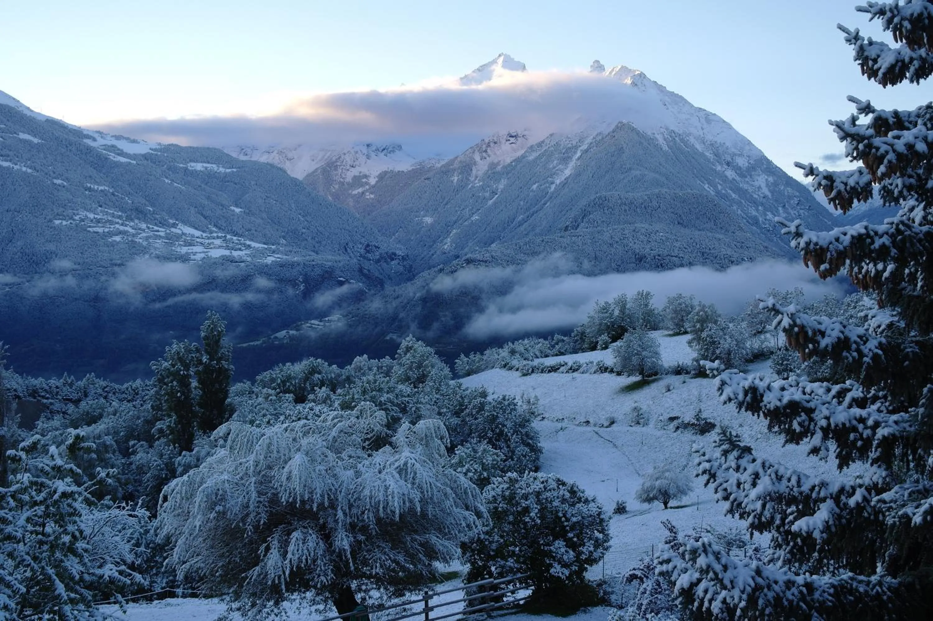 Natural landscape in B&B Lo VAN - Camere al Verde Villaggio di Rumiod